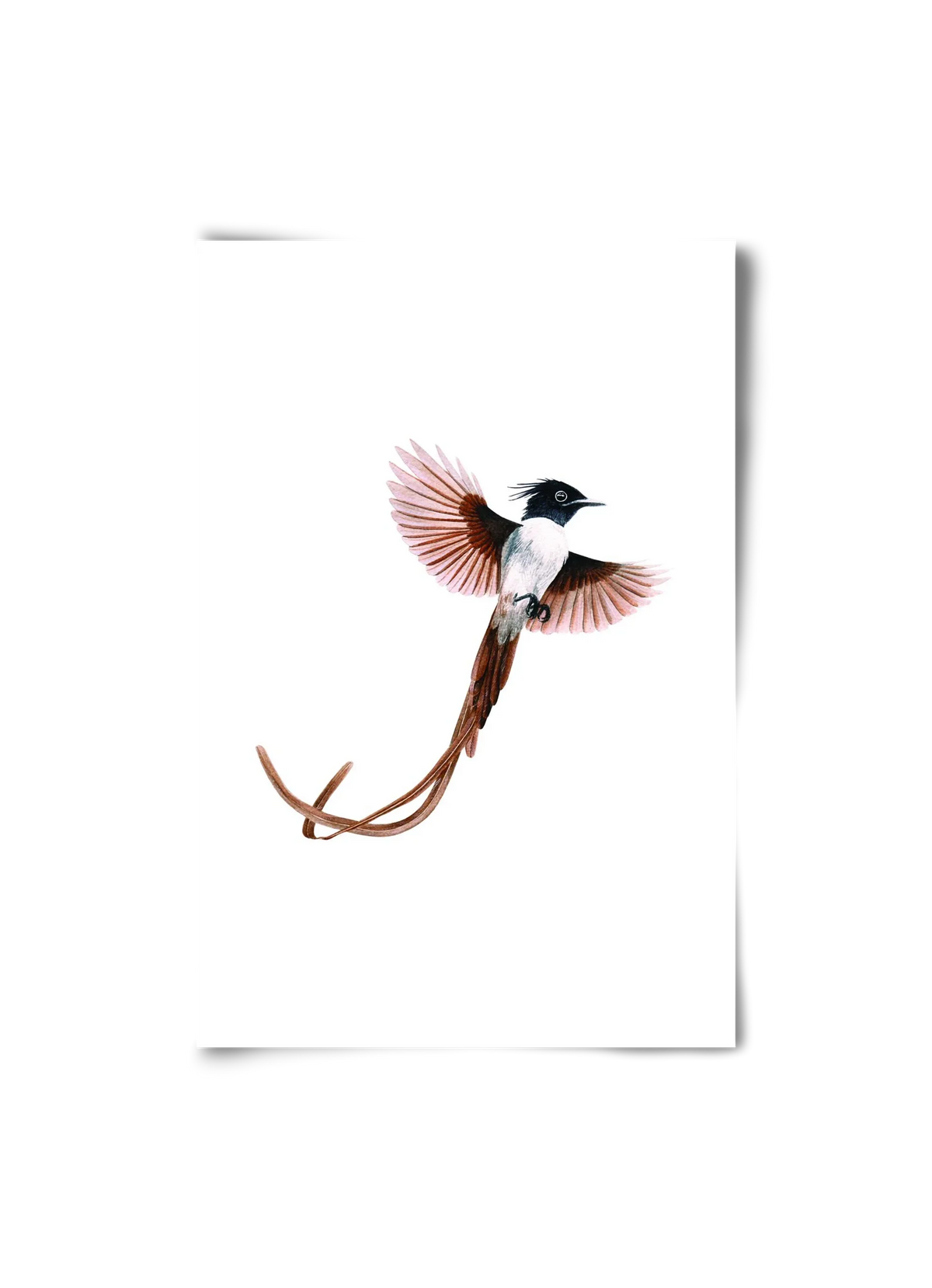 flycatcher - artbridge