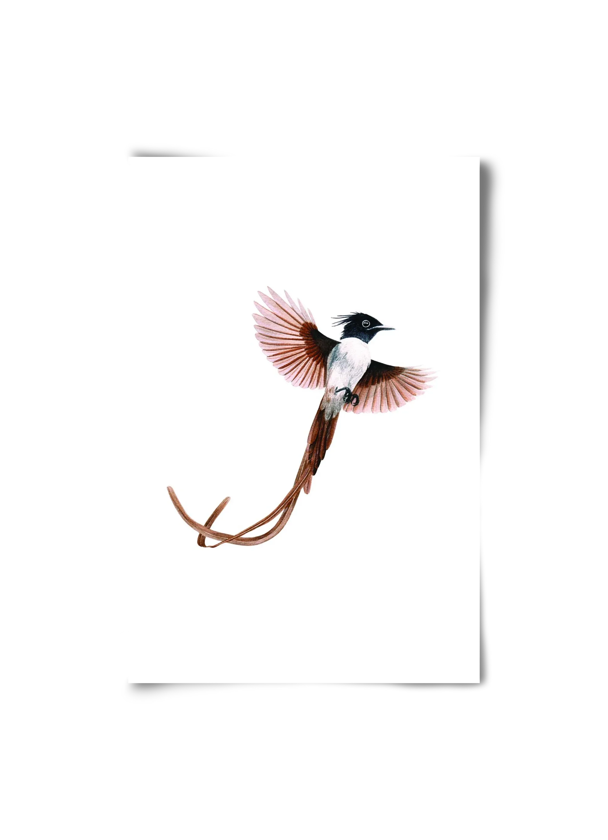 flycatcher - artbridge