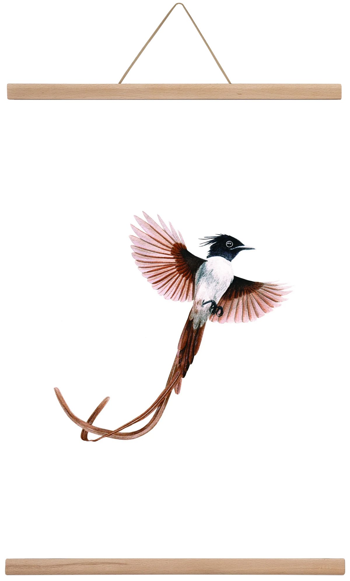 flycatcher - artbridge