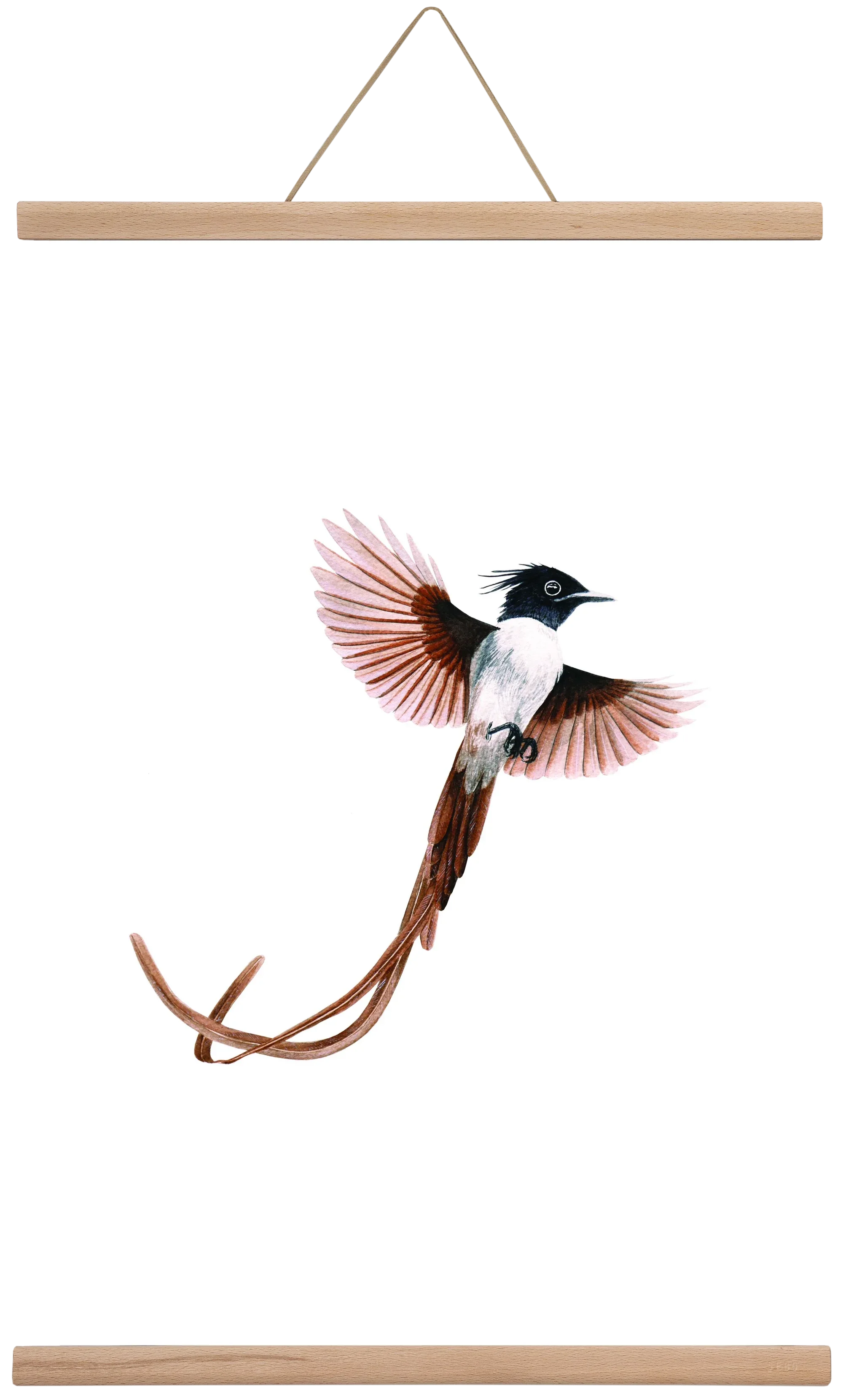 flycatcher - artbridge