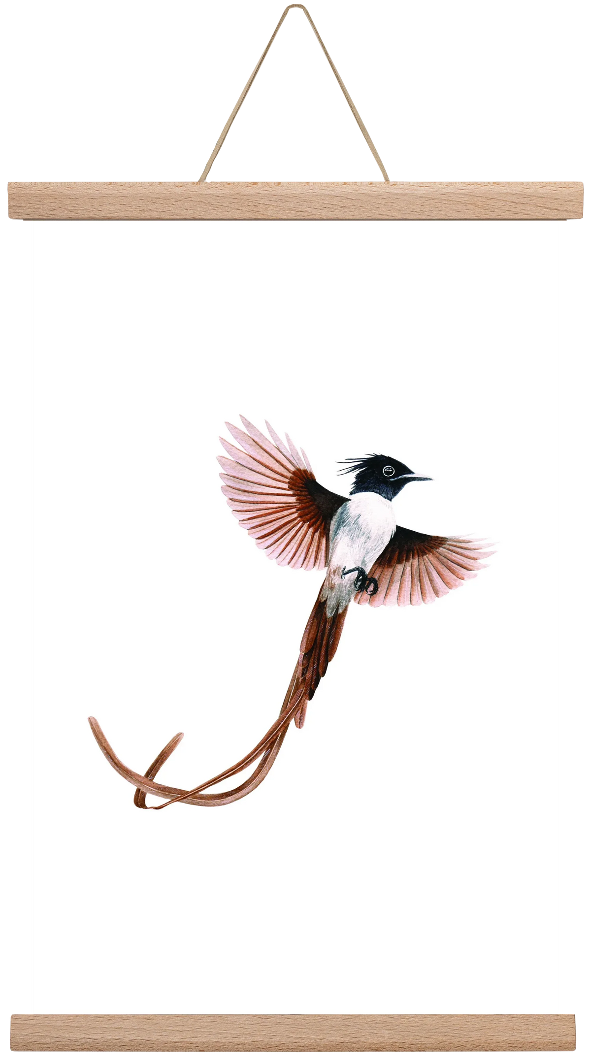 flycatcher - artbridge