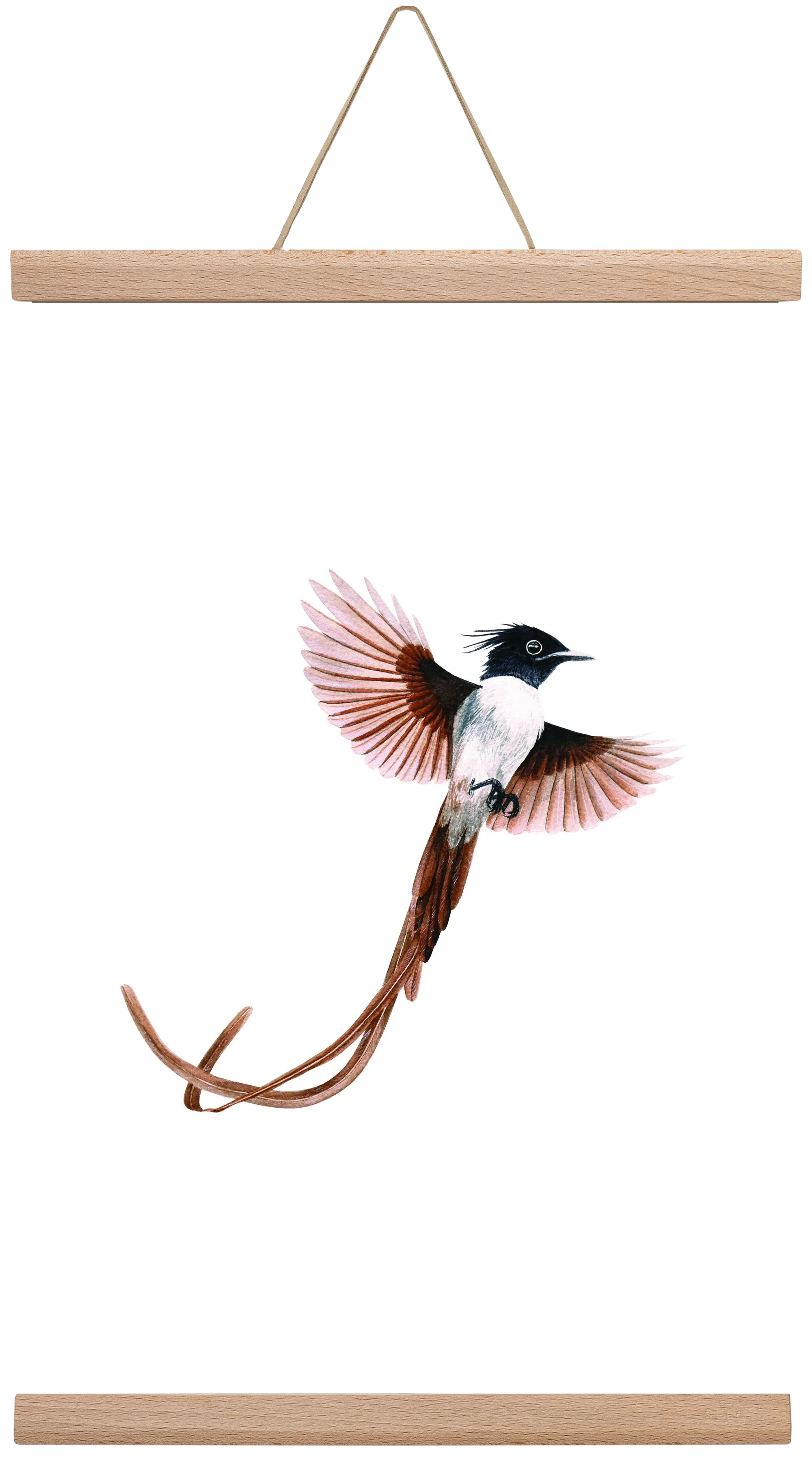 flycatcher - artbridge