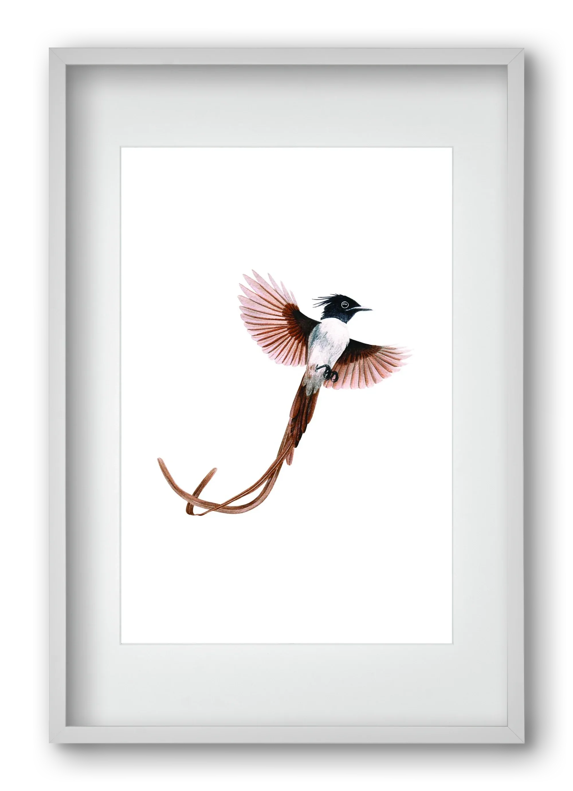 flycatcher - artbridge