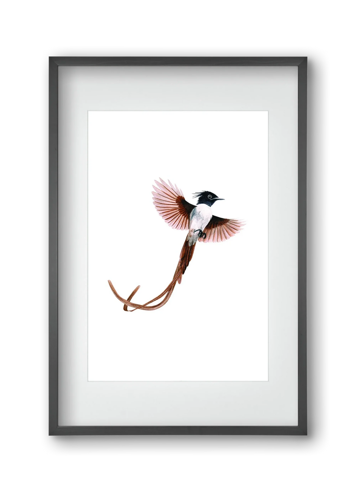 flycatcher - artbridge