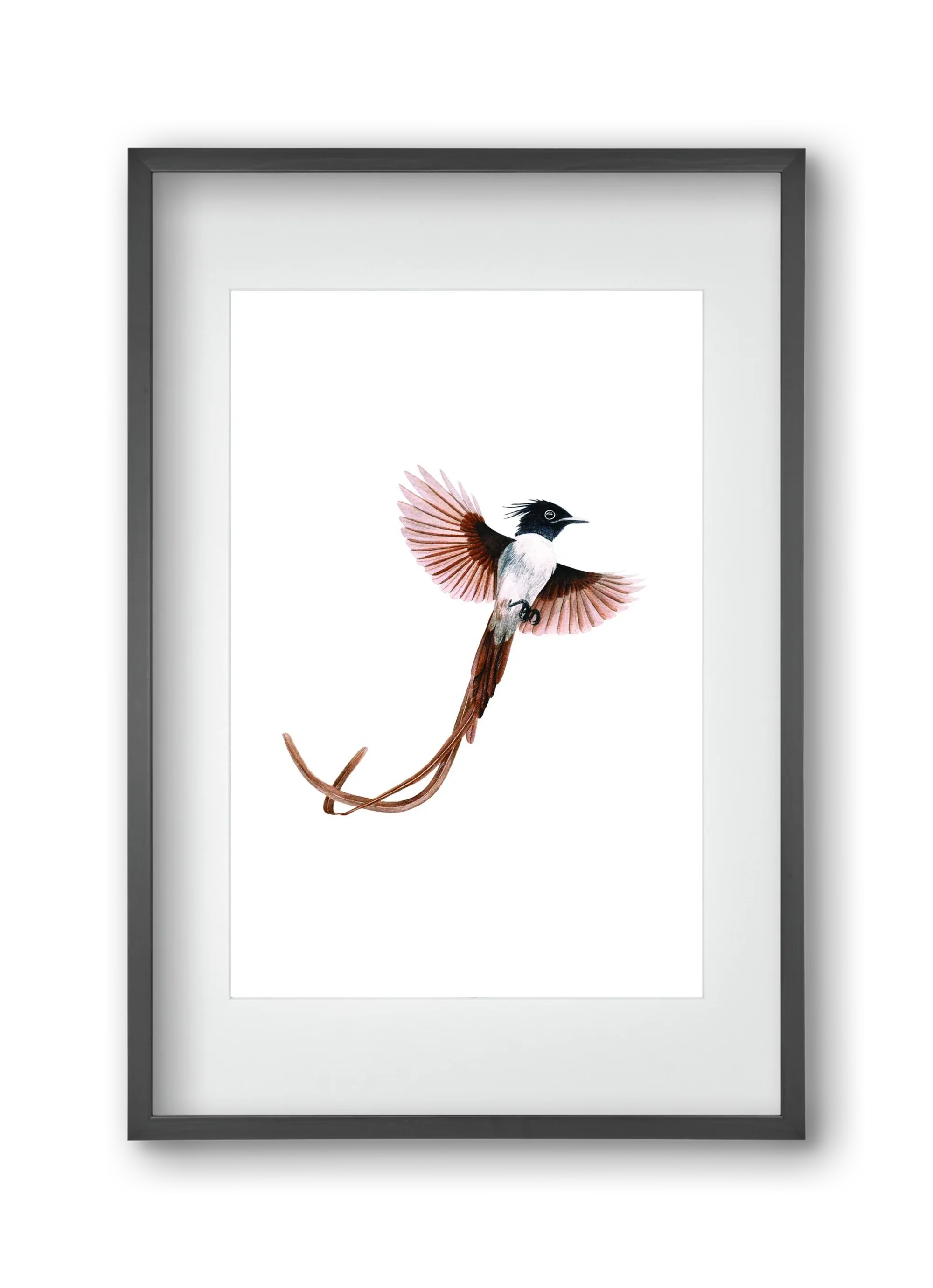 flycatcher - artbridge