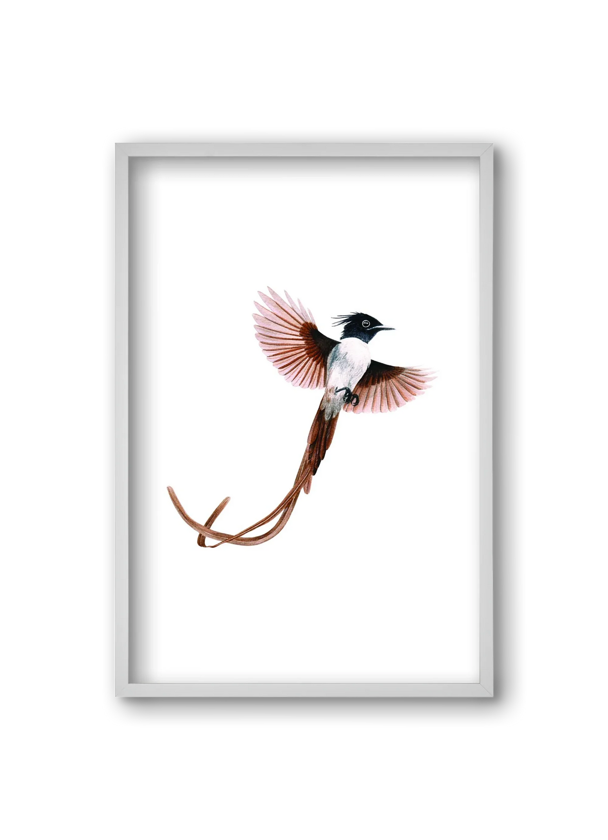 flycatcher - artbridge