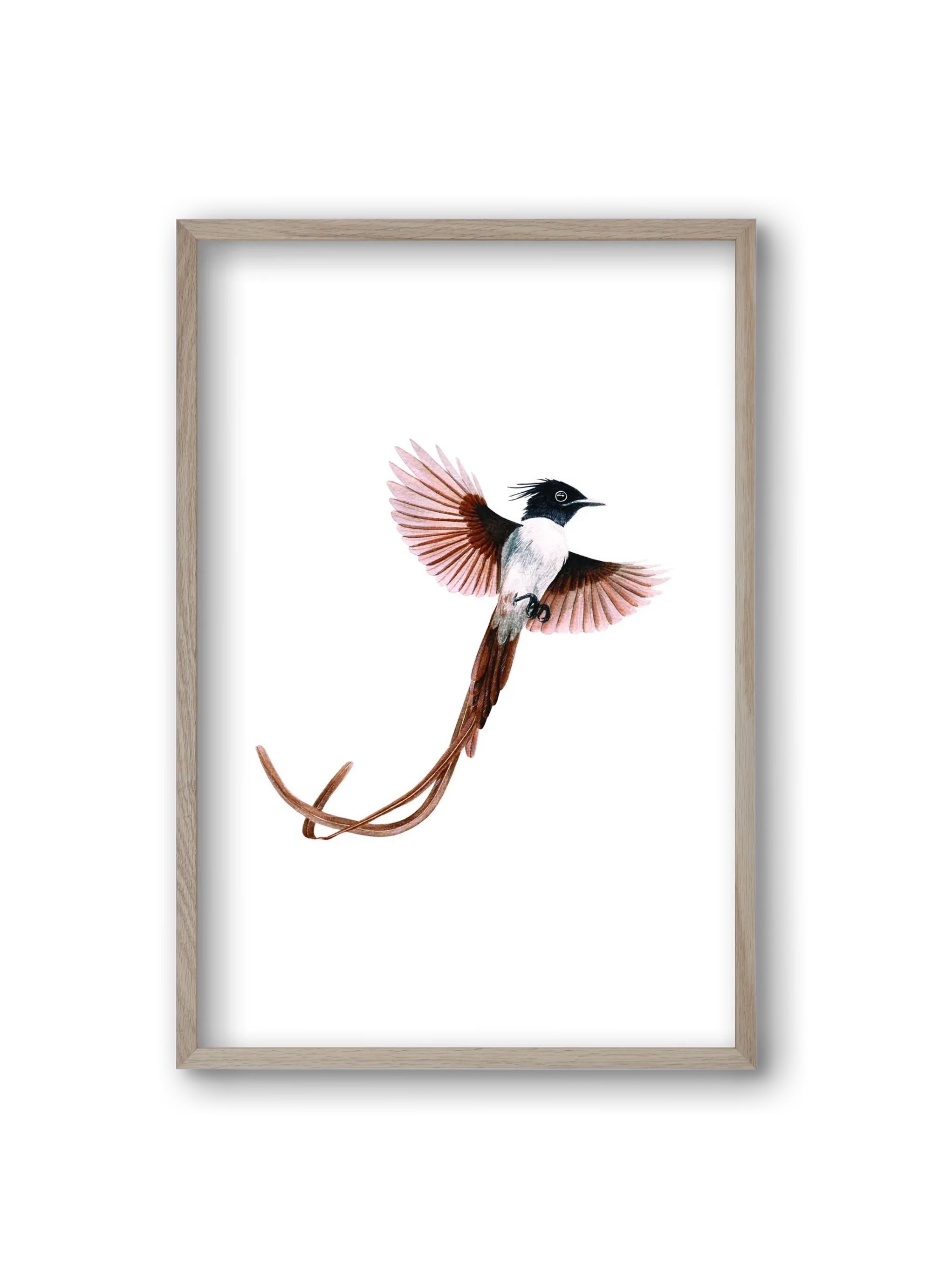 flycatcher - artbridge