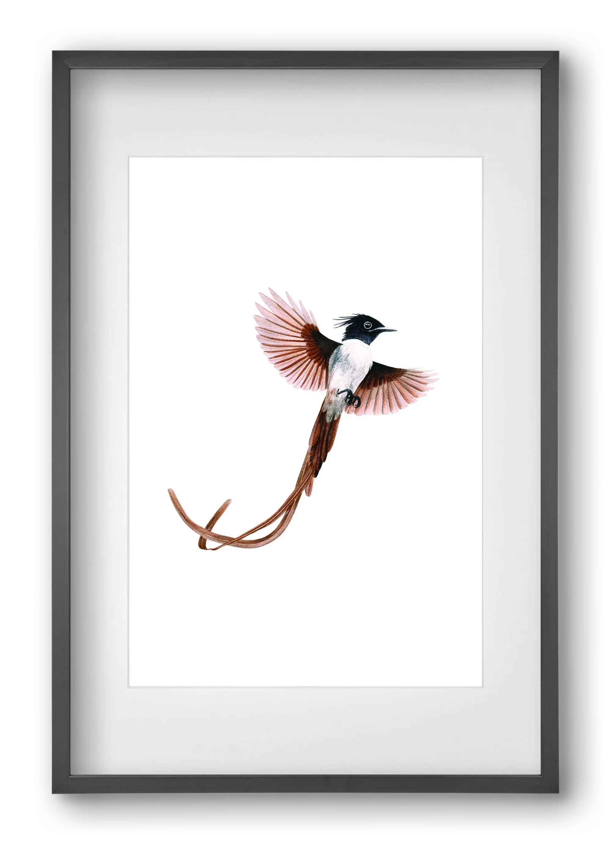flycatcher - artbridge