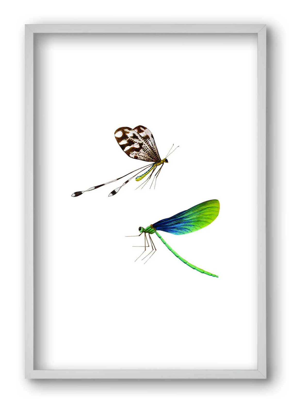 dragonflies - artbridge