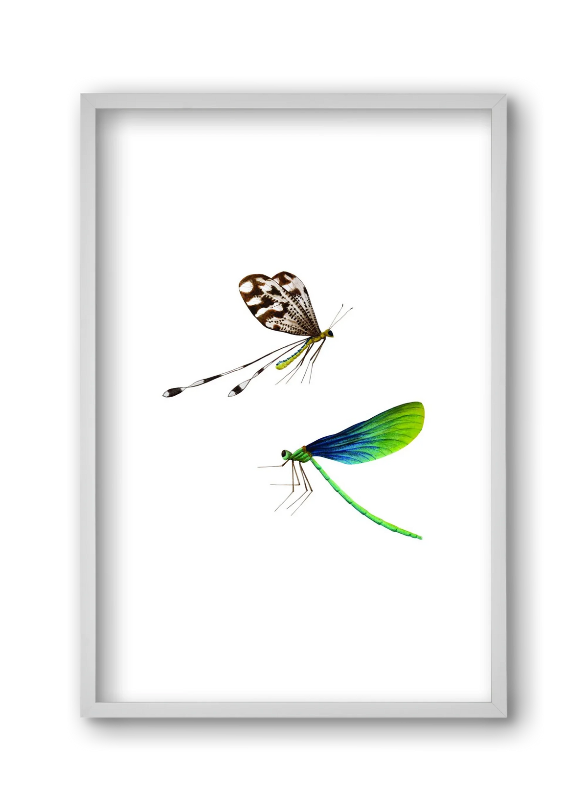 dragonflies - artbridge