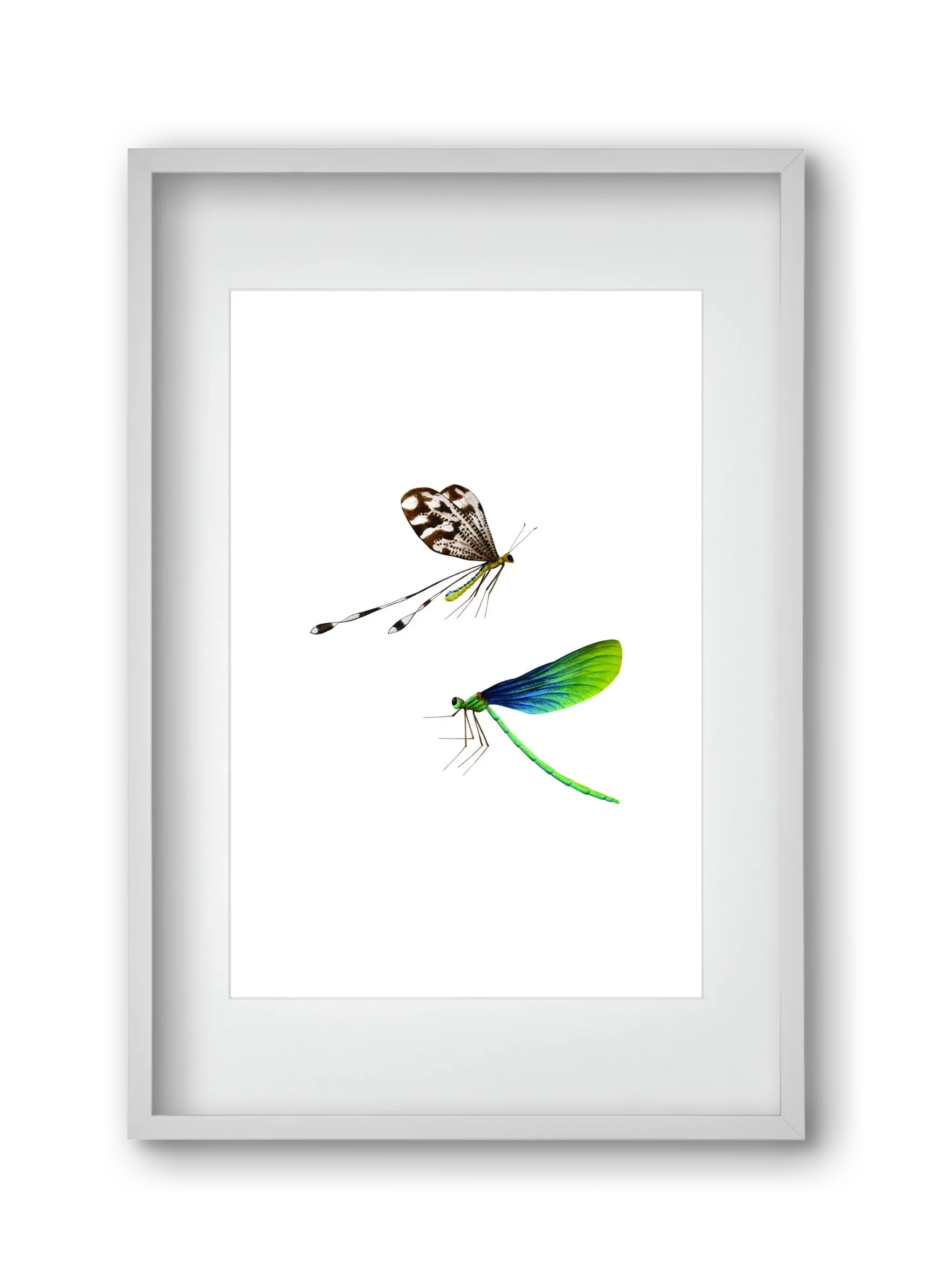 dragonflies - artbridge