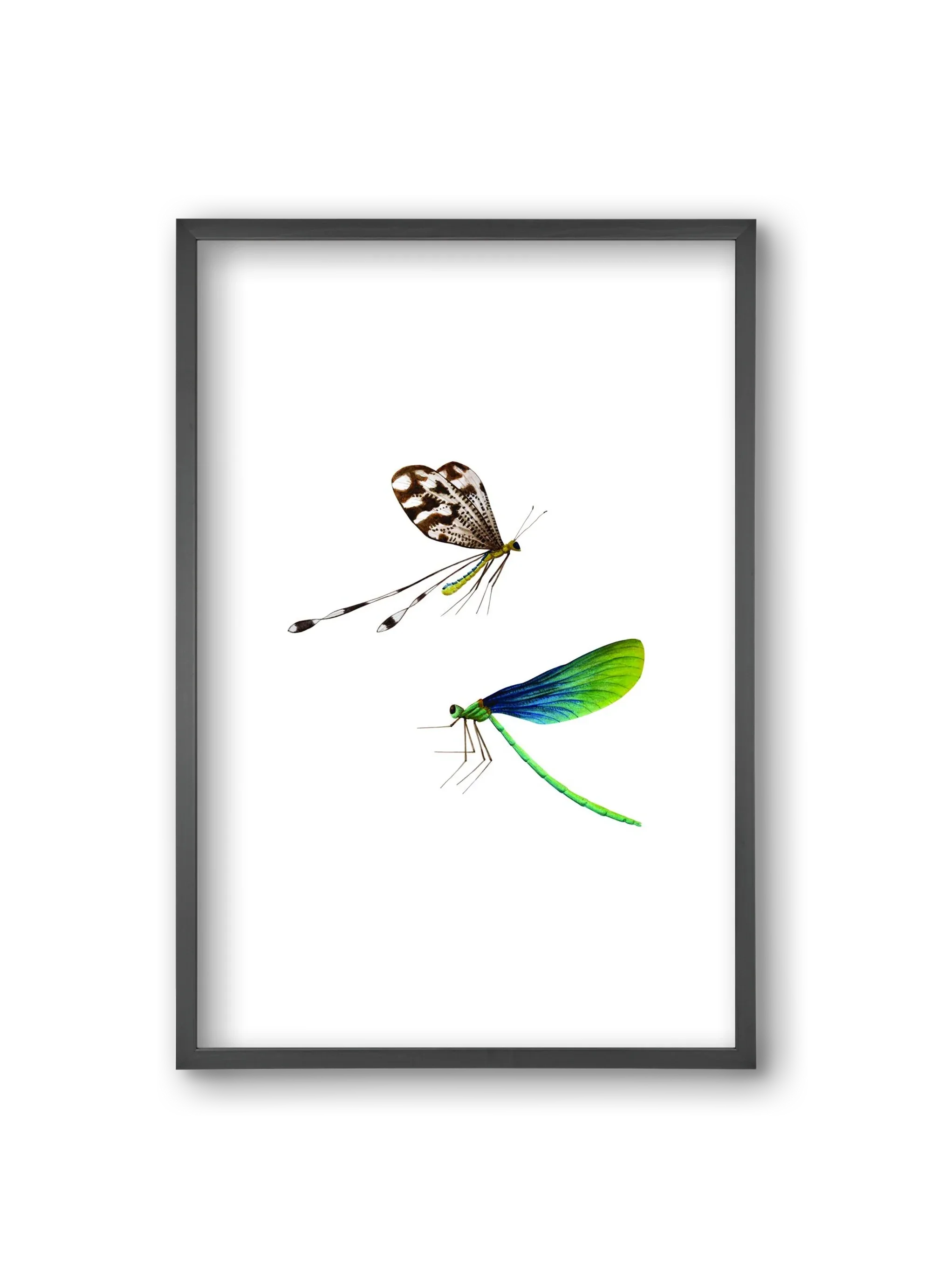 dragonflies - artbridge