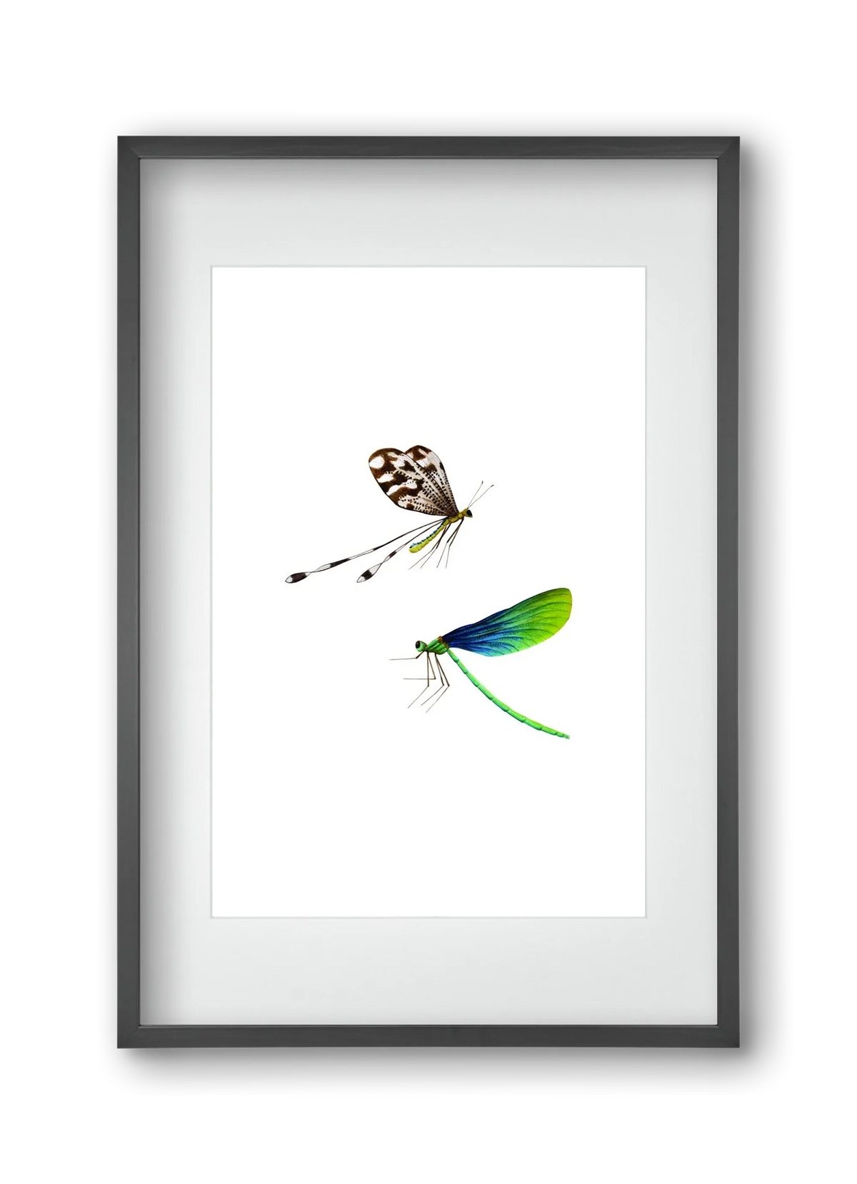 dragonflies - artbridge