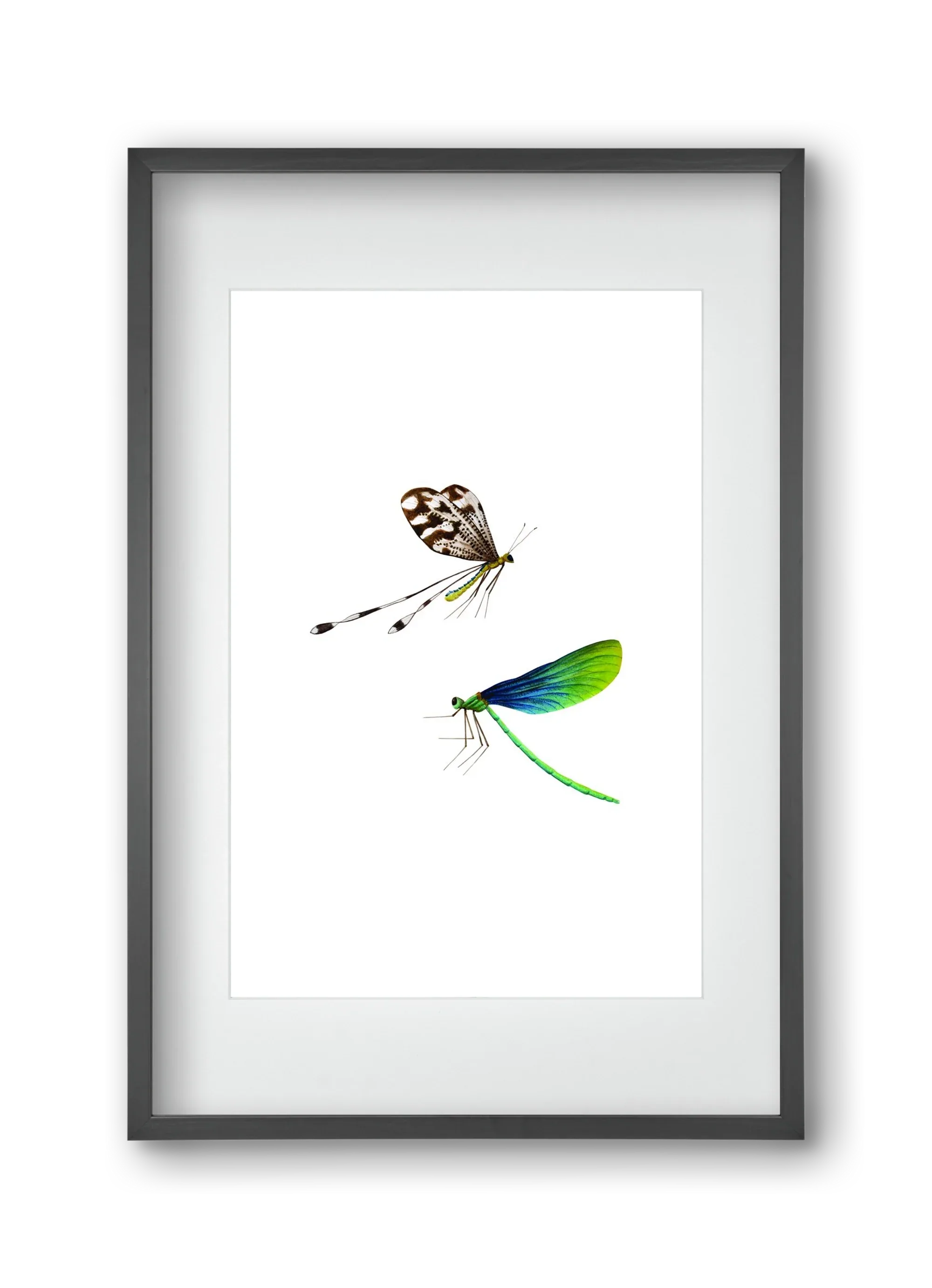 dragonflies - artbridge