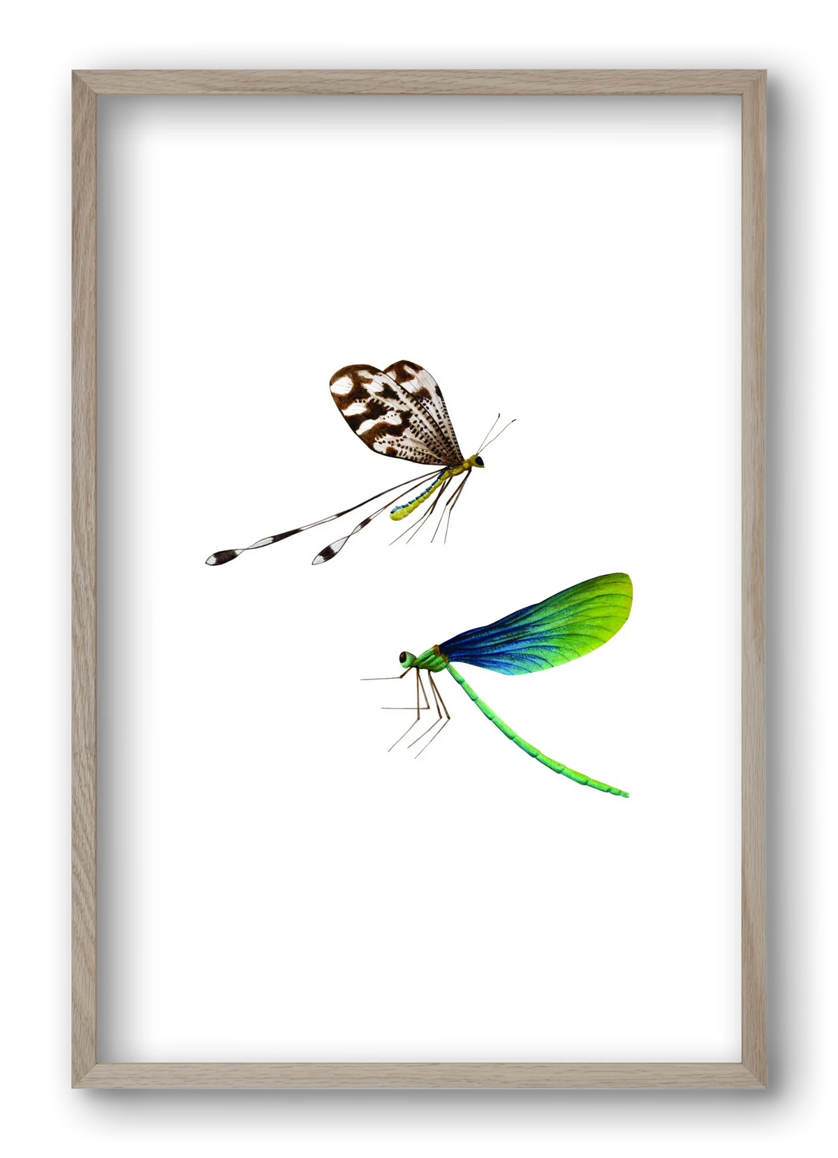 dragonflies - artbridge