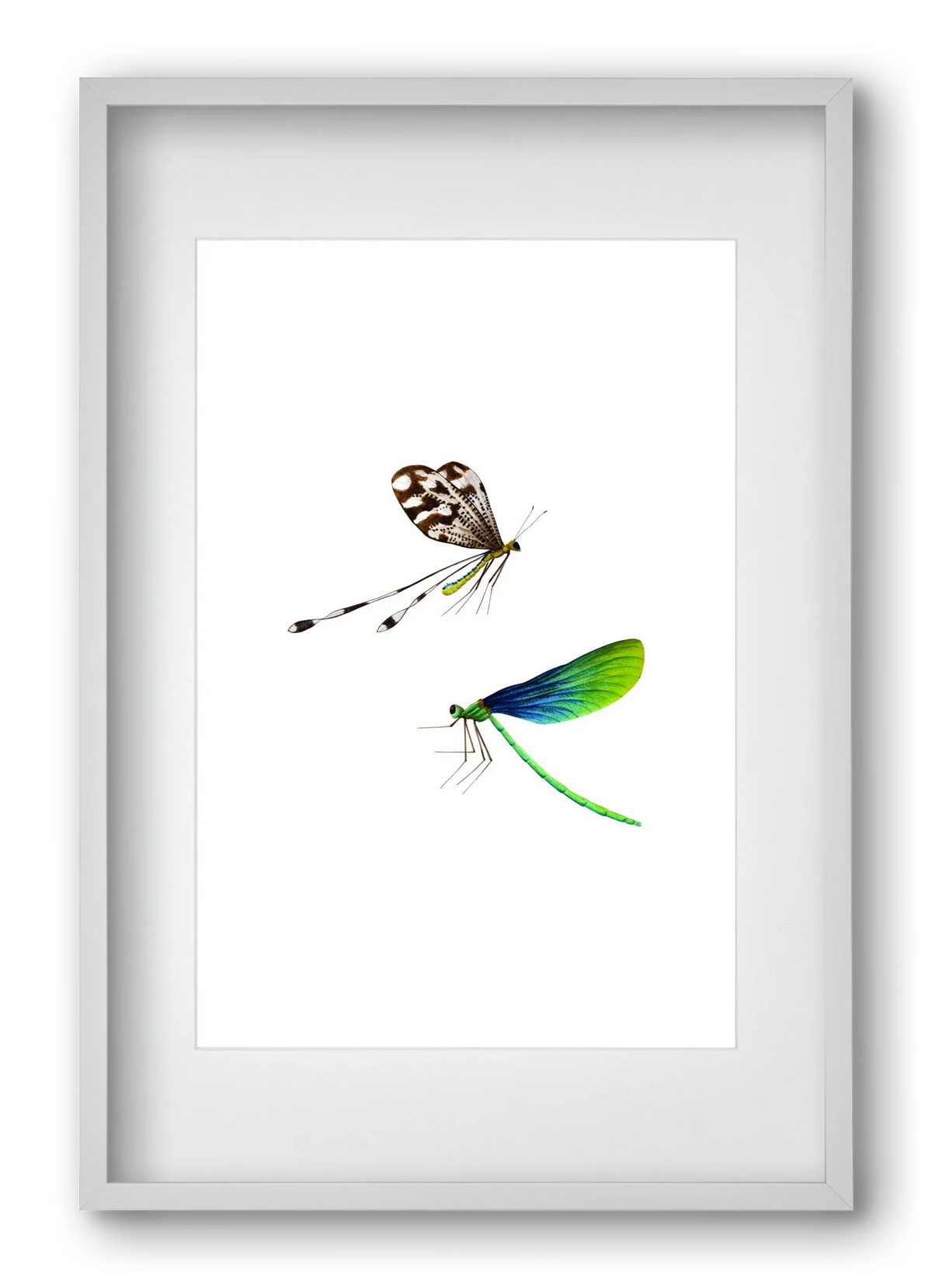 dragonflies - artbridge
