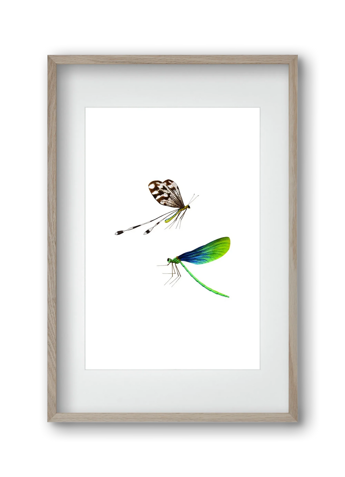 dragonflies - artbridge