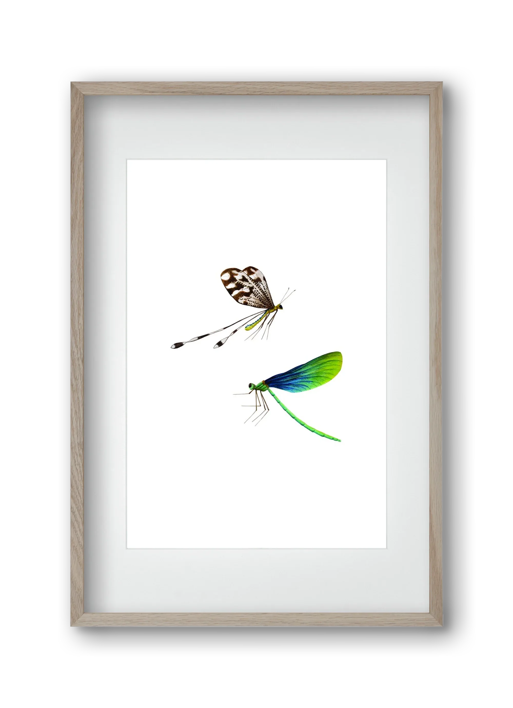 dragonflies - artbridge
