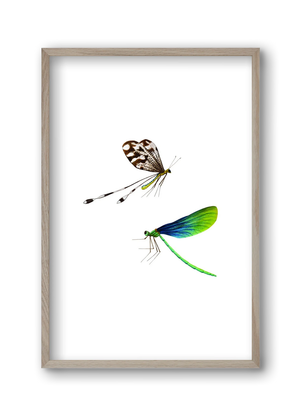 dragonflies - artbridge