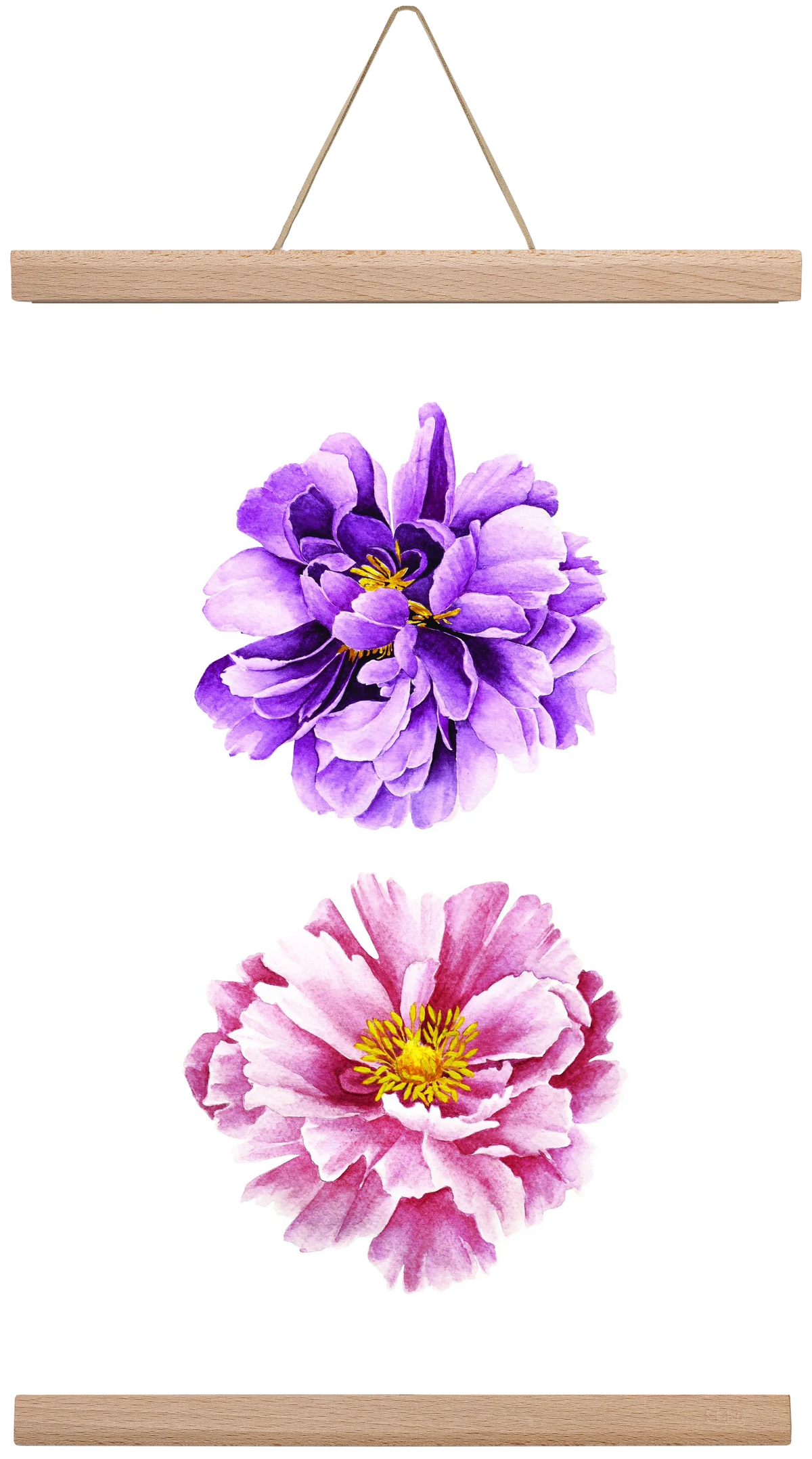 peonies - artbridge