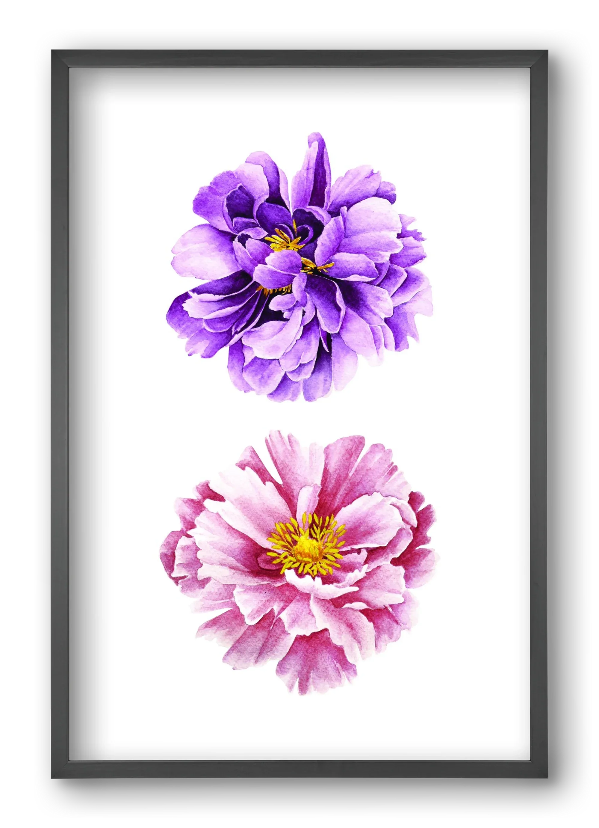 peonies - artbridge