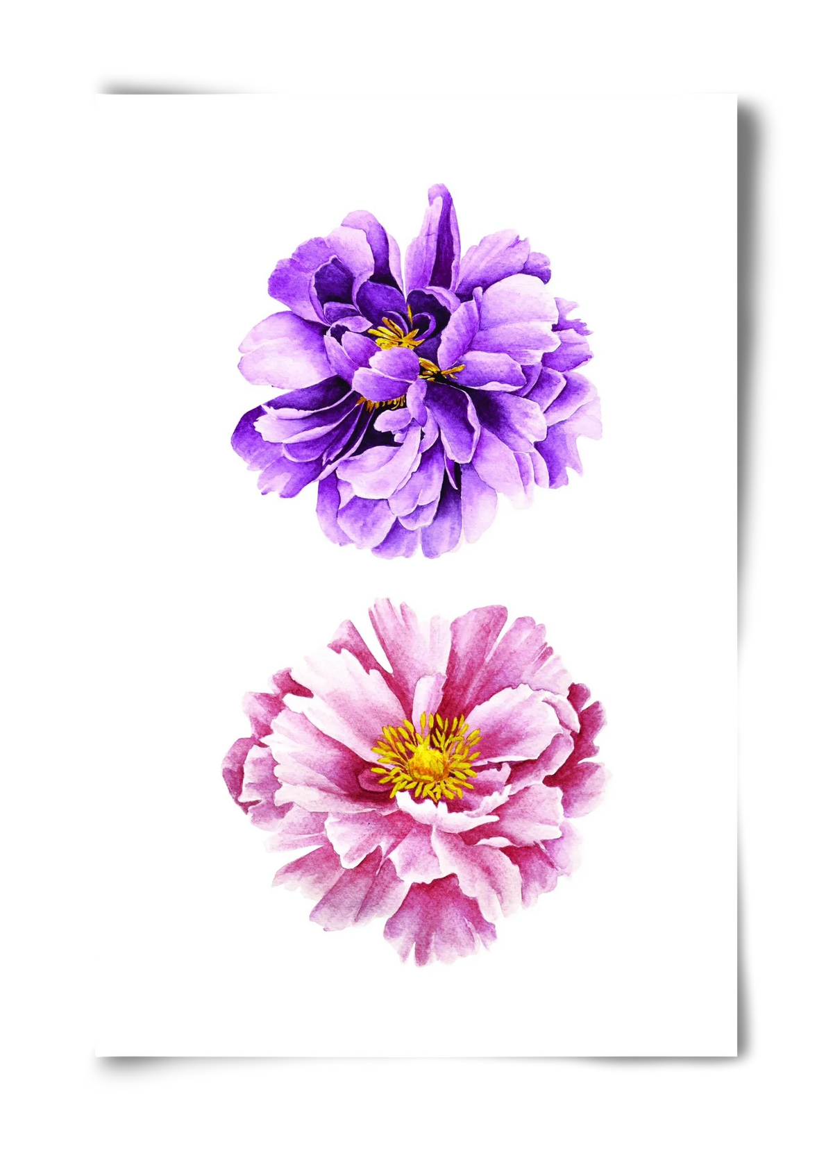 peonies - artbridge