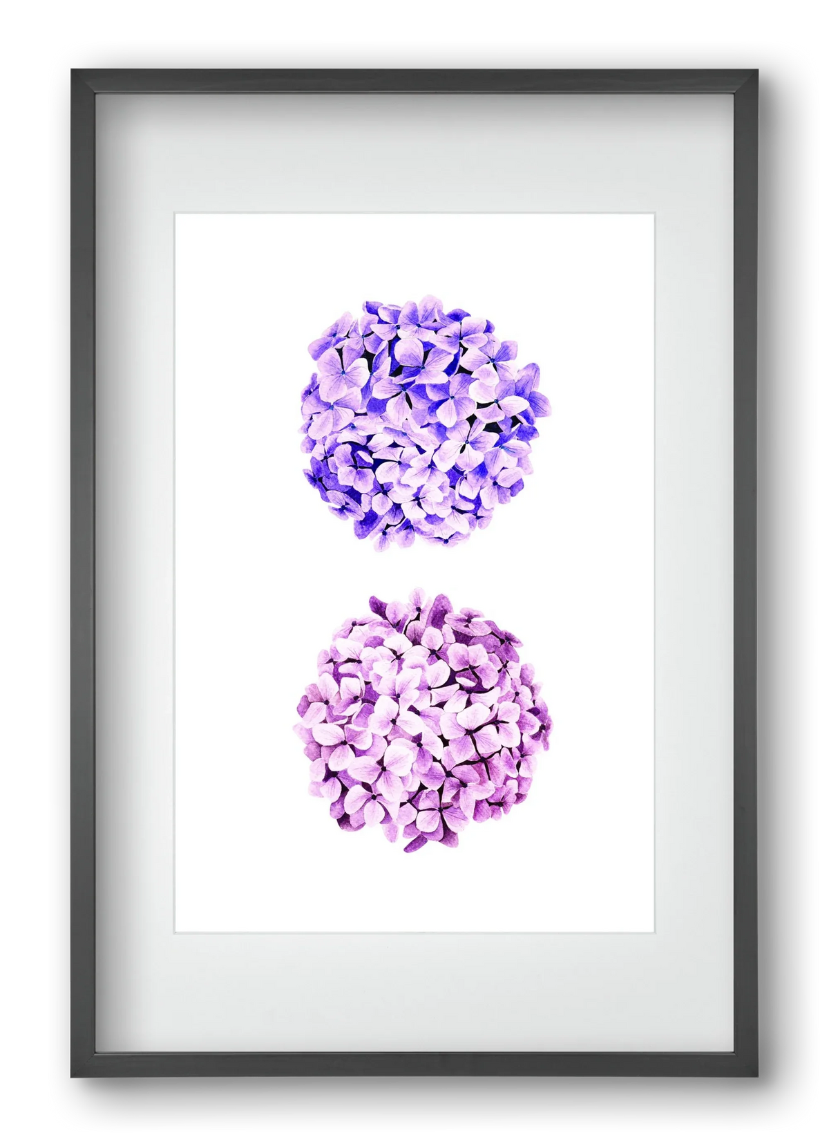 hydrangea - artbridge
