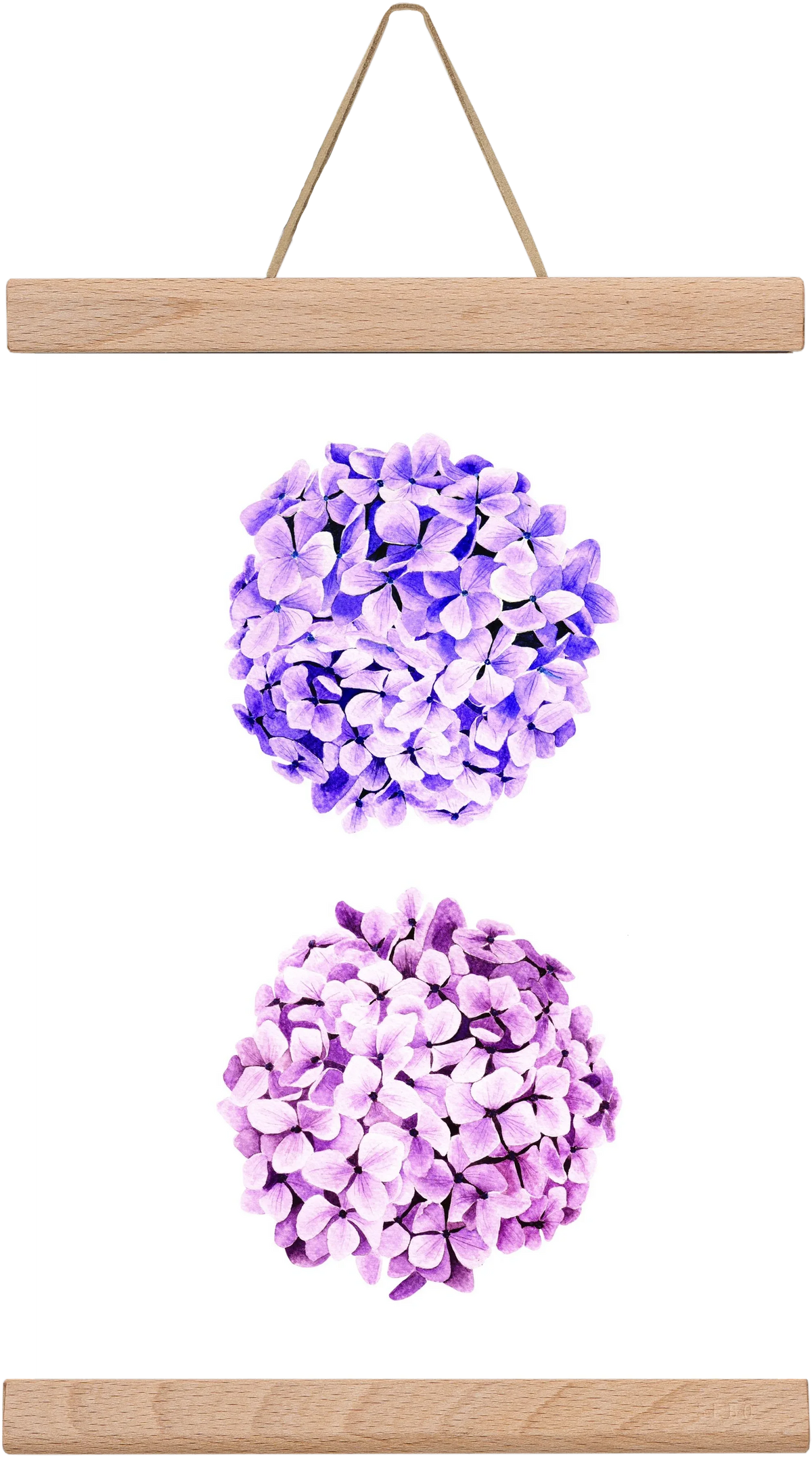 hydrangea - artbridge