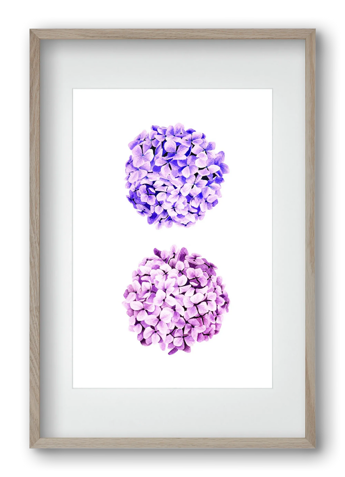 hydrangea - artbridge