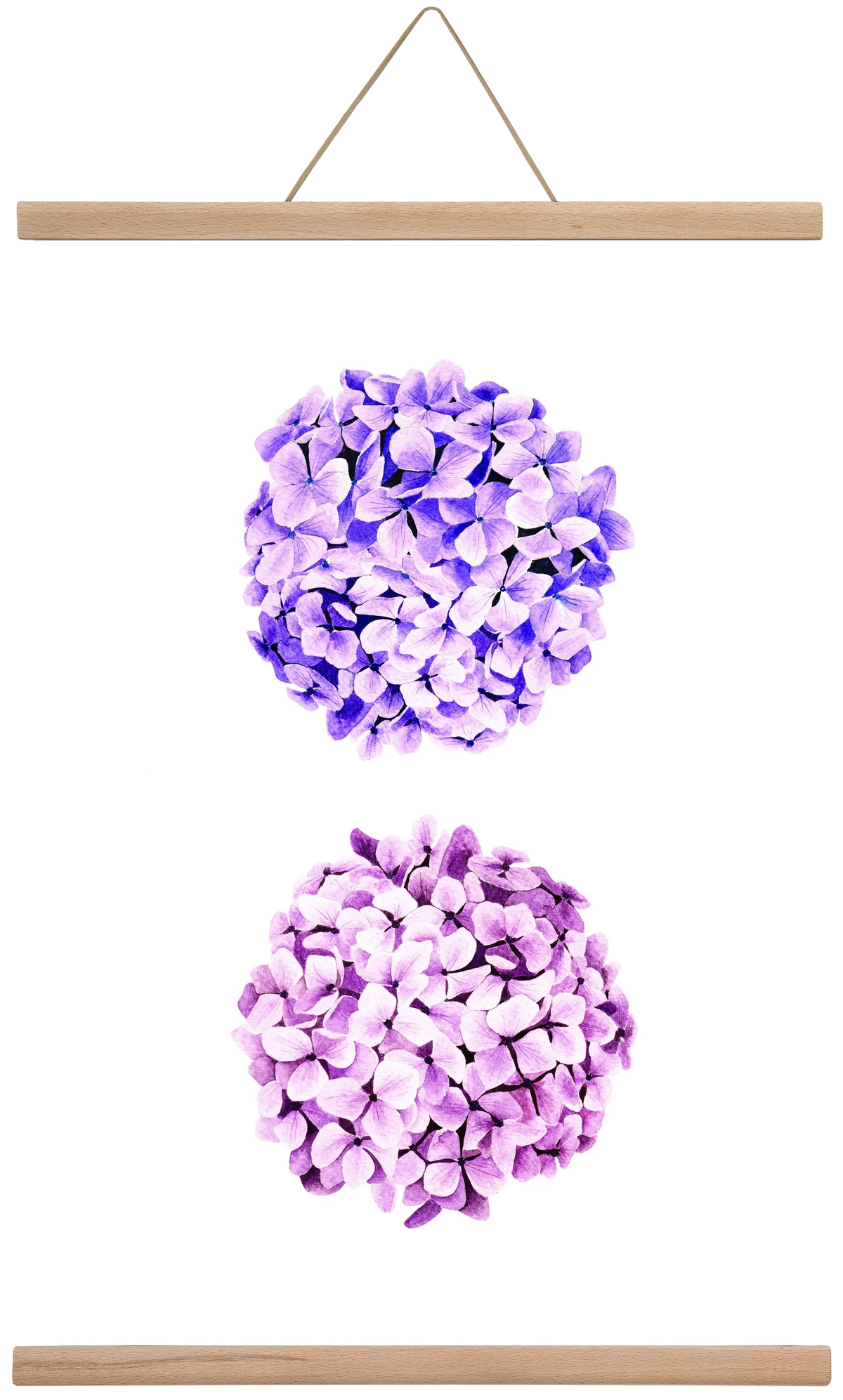 hydrangea - artbridge