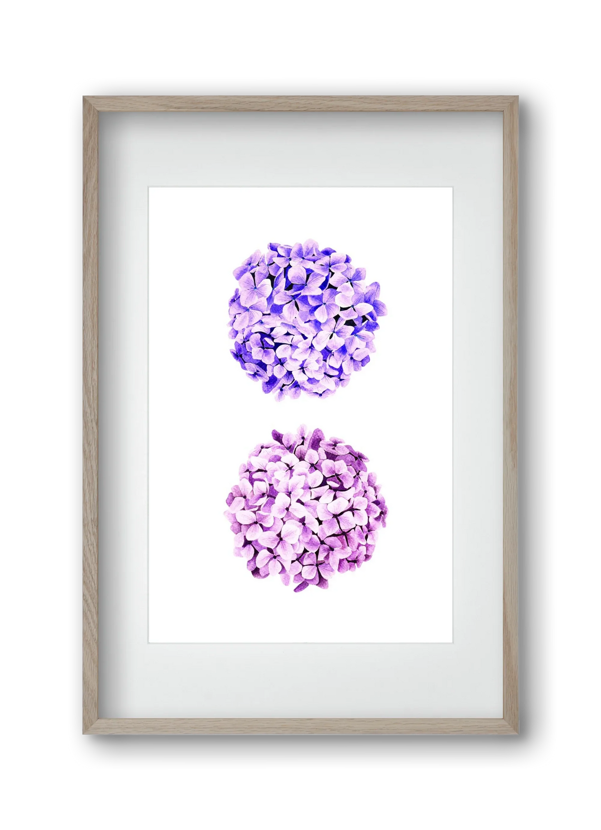 hydrangea - artbridge