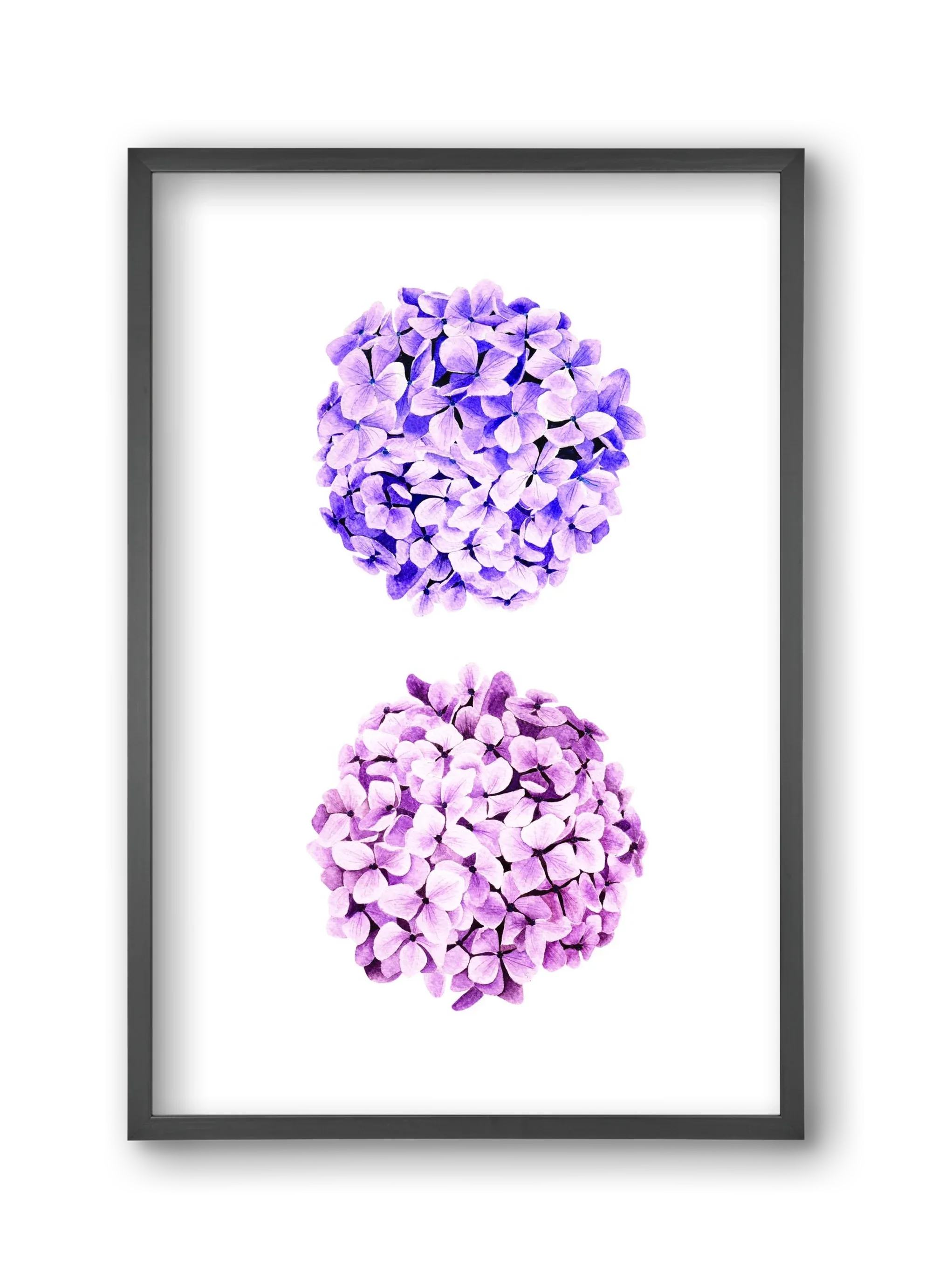 hydrangea - artbridge