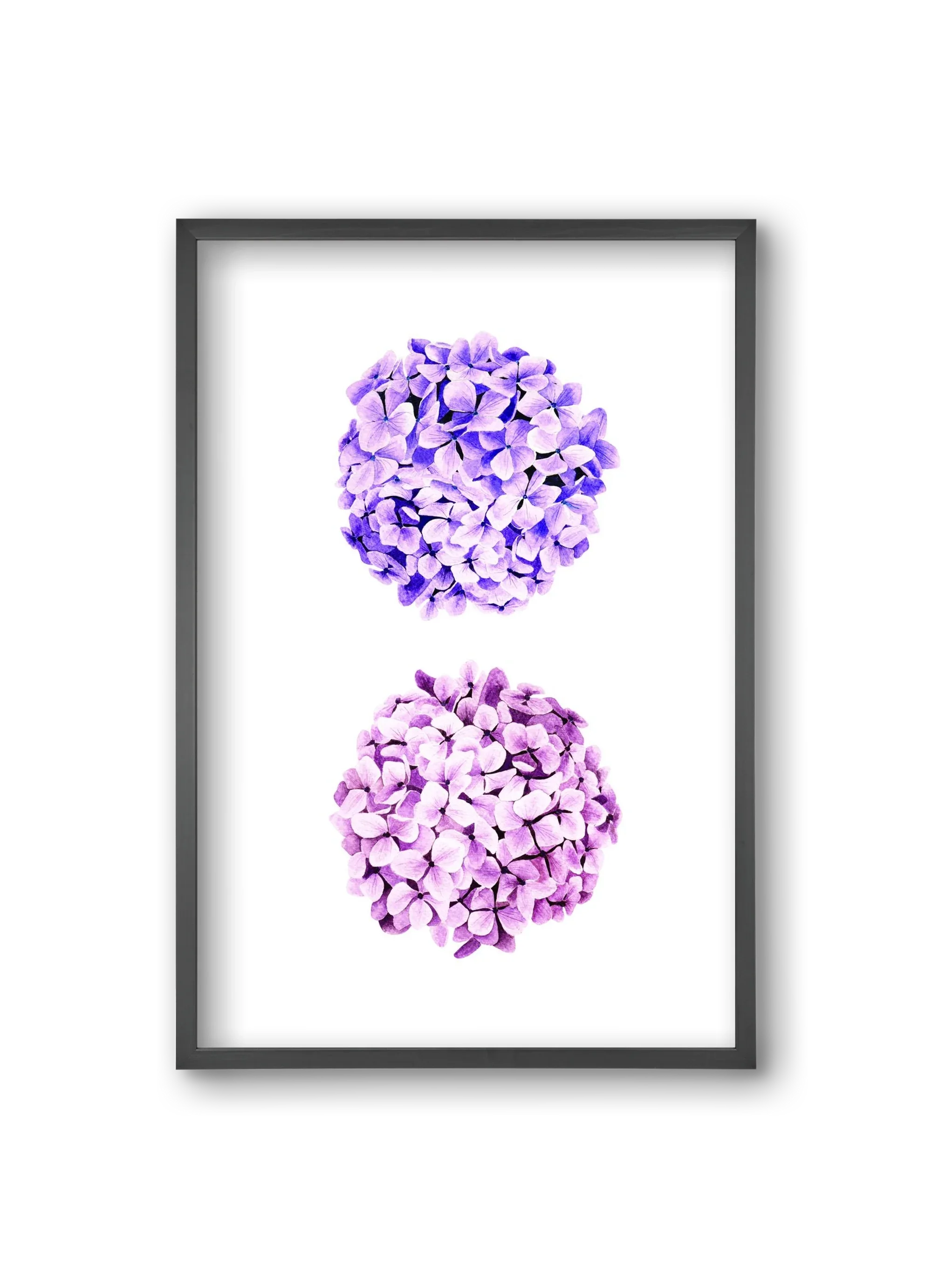 hydrangea - artbridge