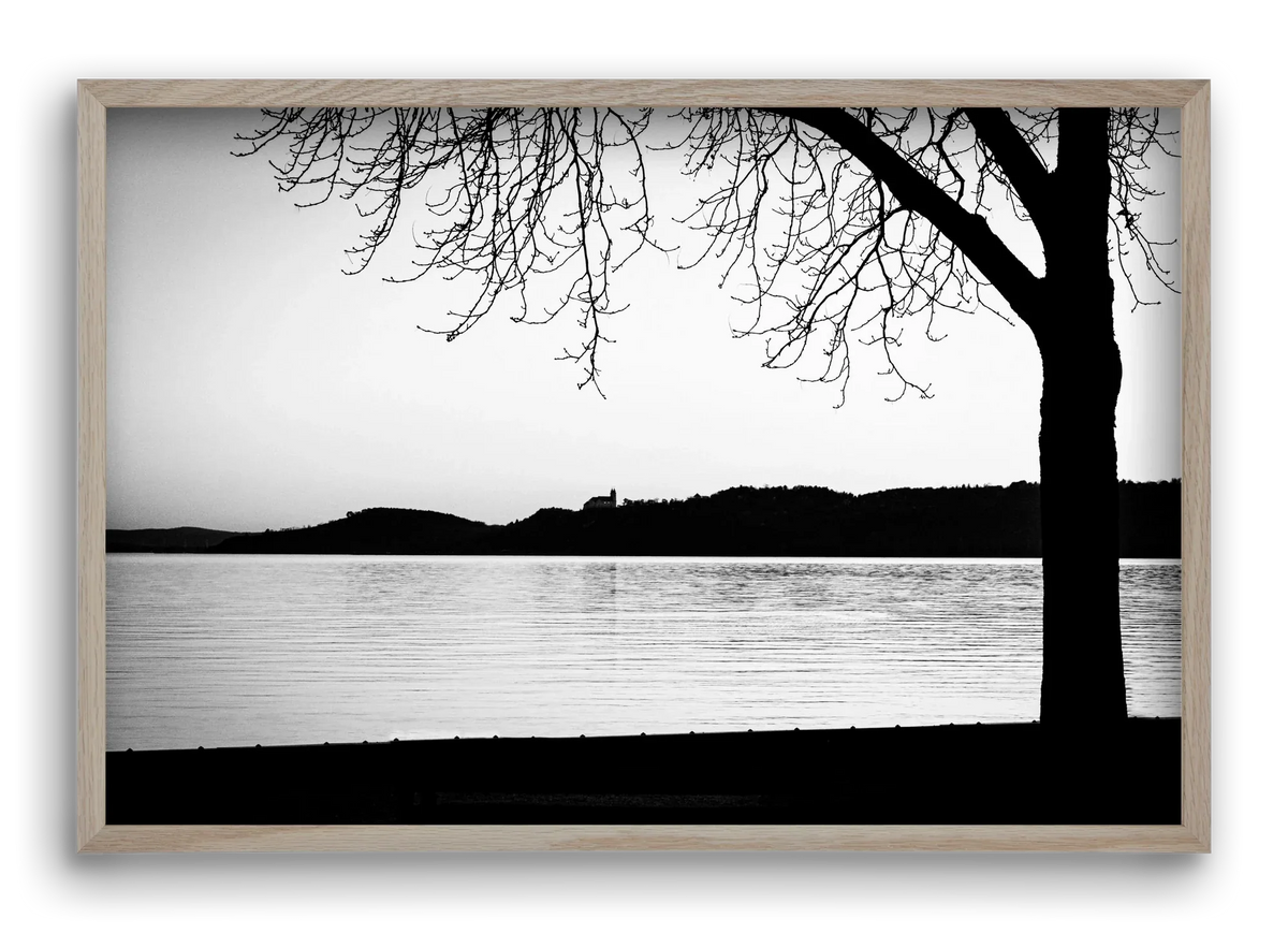Tagore - artbridge