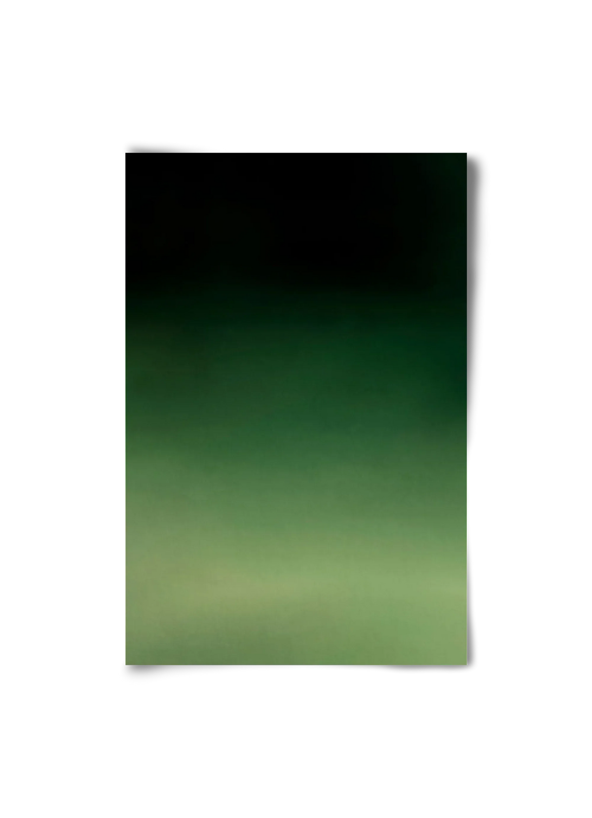 COLOR GRADIENT - 11 - artbridge