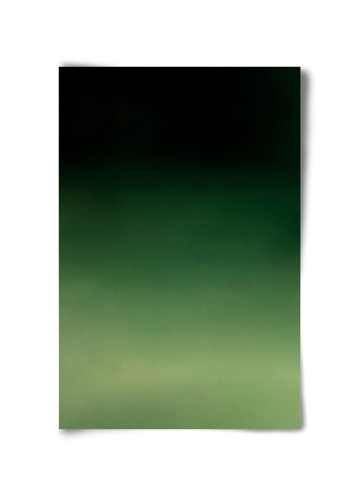 COLOR GRADIENT - 11 - artbridge