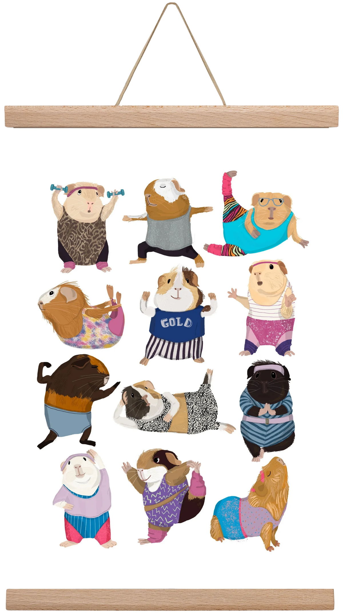 Guinea Pigs doing Aerobic - artbridge
