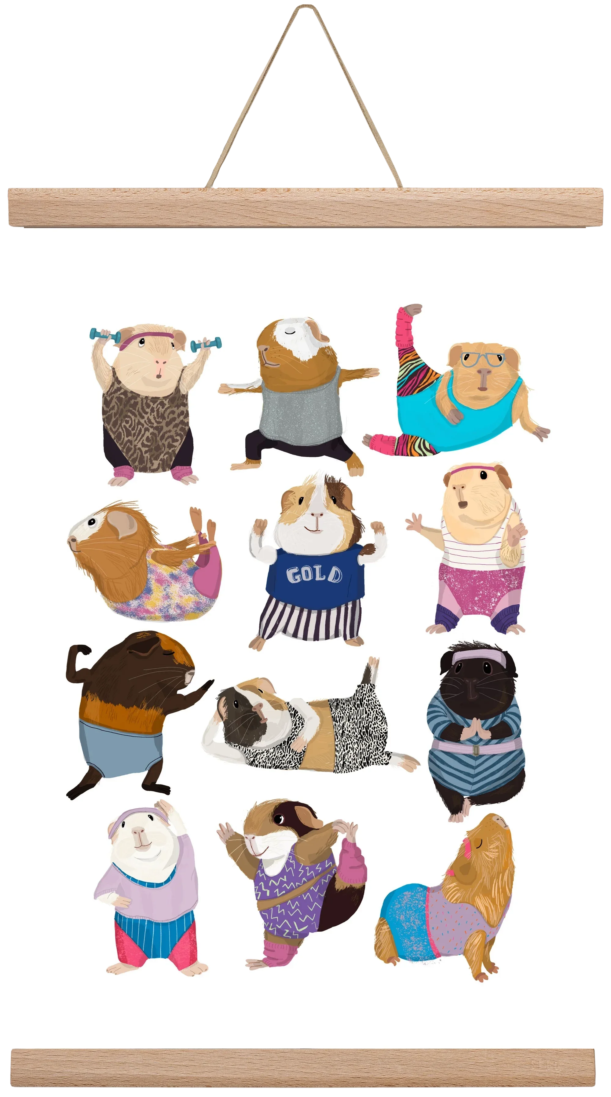 Guinea Pigs doing Aerobic - artbridge