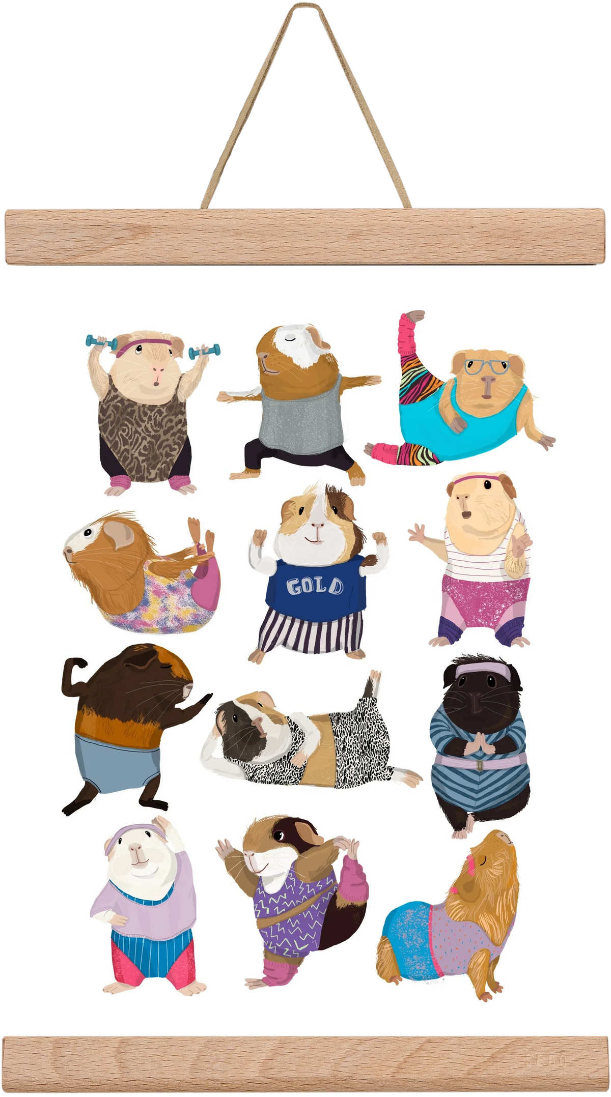Guinea Pigs doing Aerobic - artbridge
