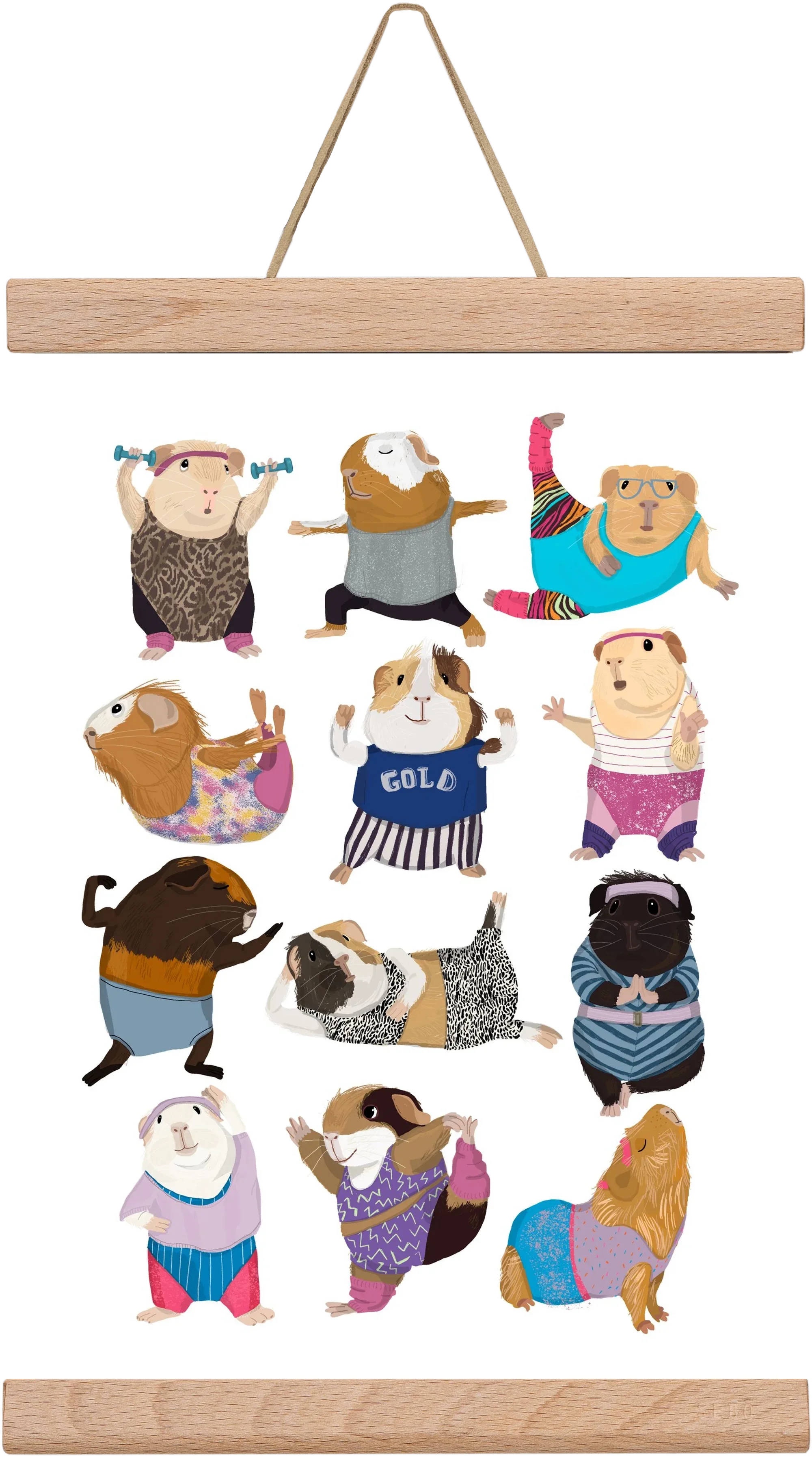 Guinea Pigs doing Aerobic - artbridge