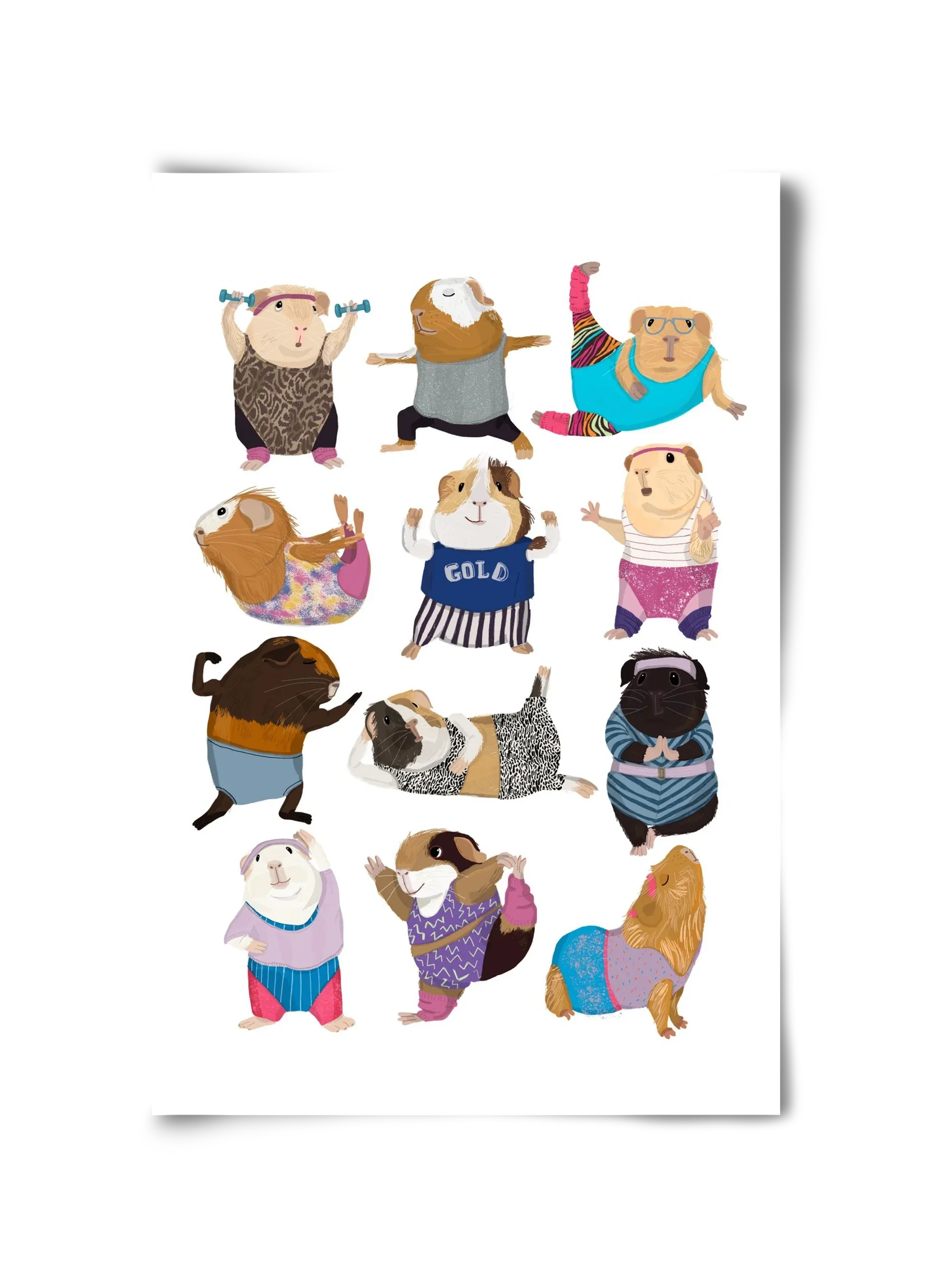 Guinea Pigs doing Aerobic - artbridge