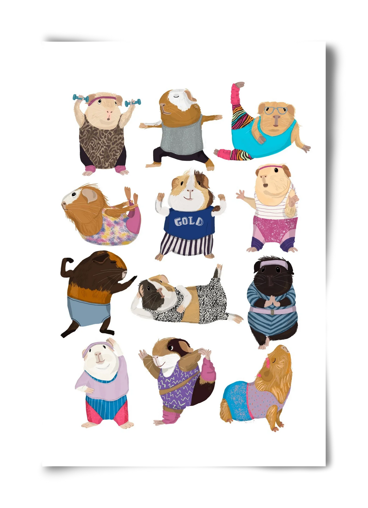 Guinea Pigs doing Aerobic - artbridge