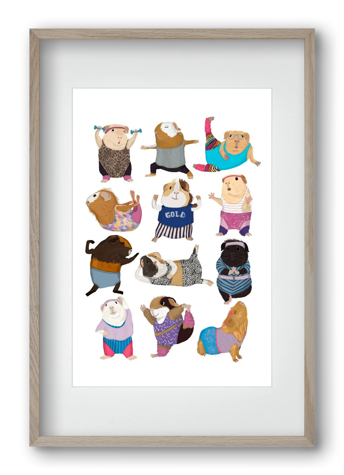 Guinea Pigs doing Aerobic - artbridge