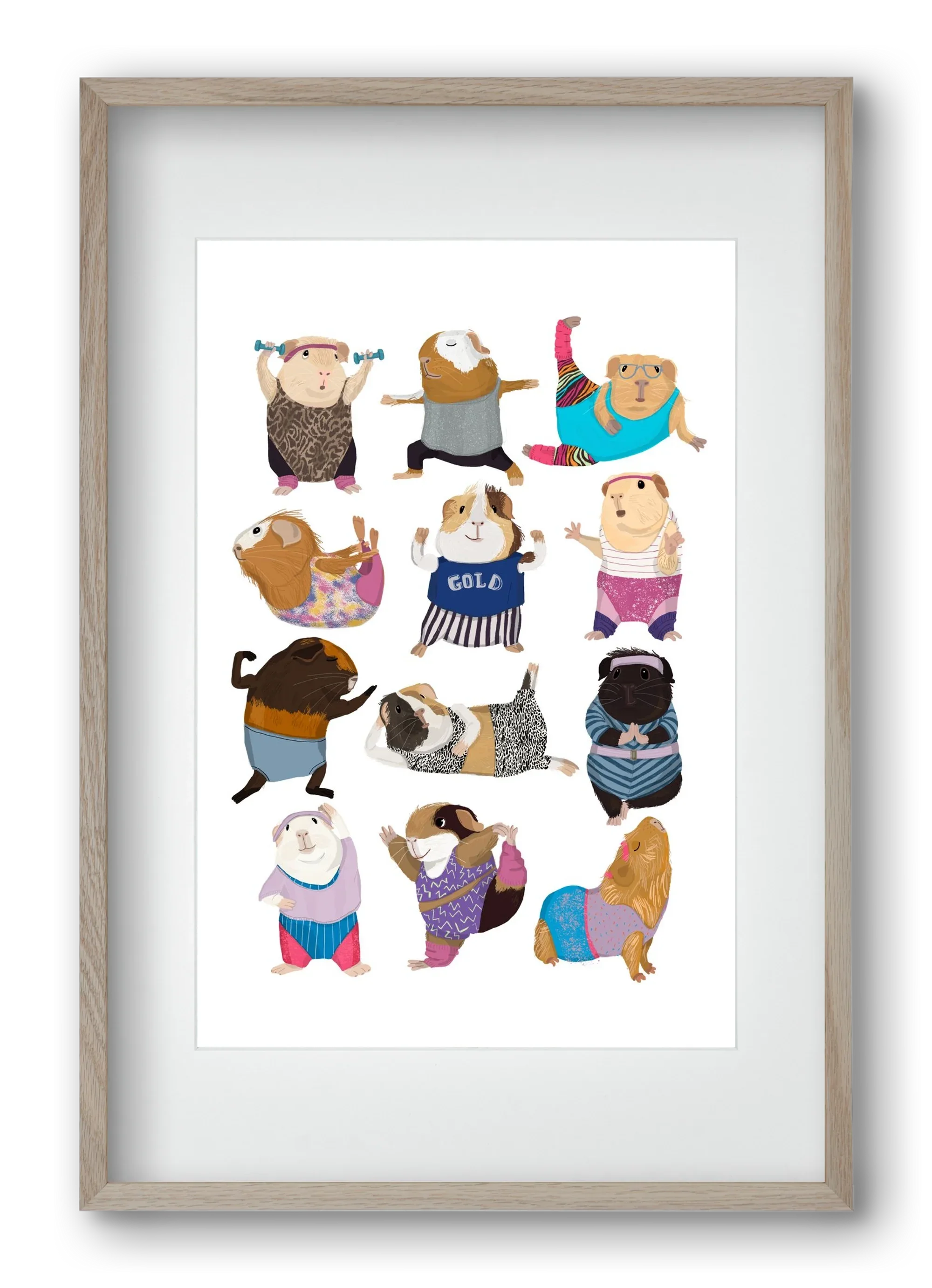 Guinea Pigs doing Aerobic - artbridge