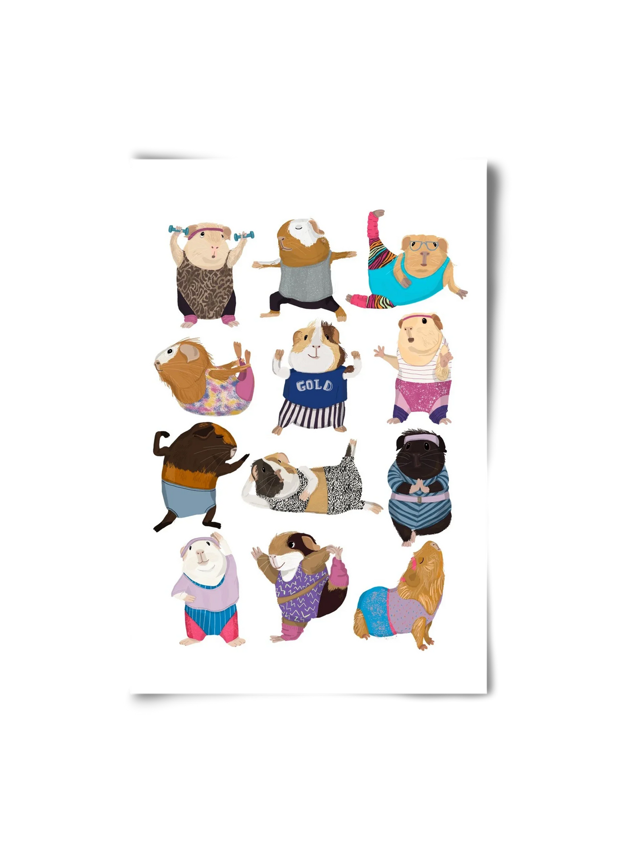 Guinea Pigs doing Aerobic - artbridge