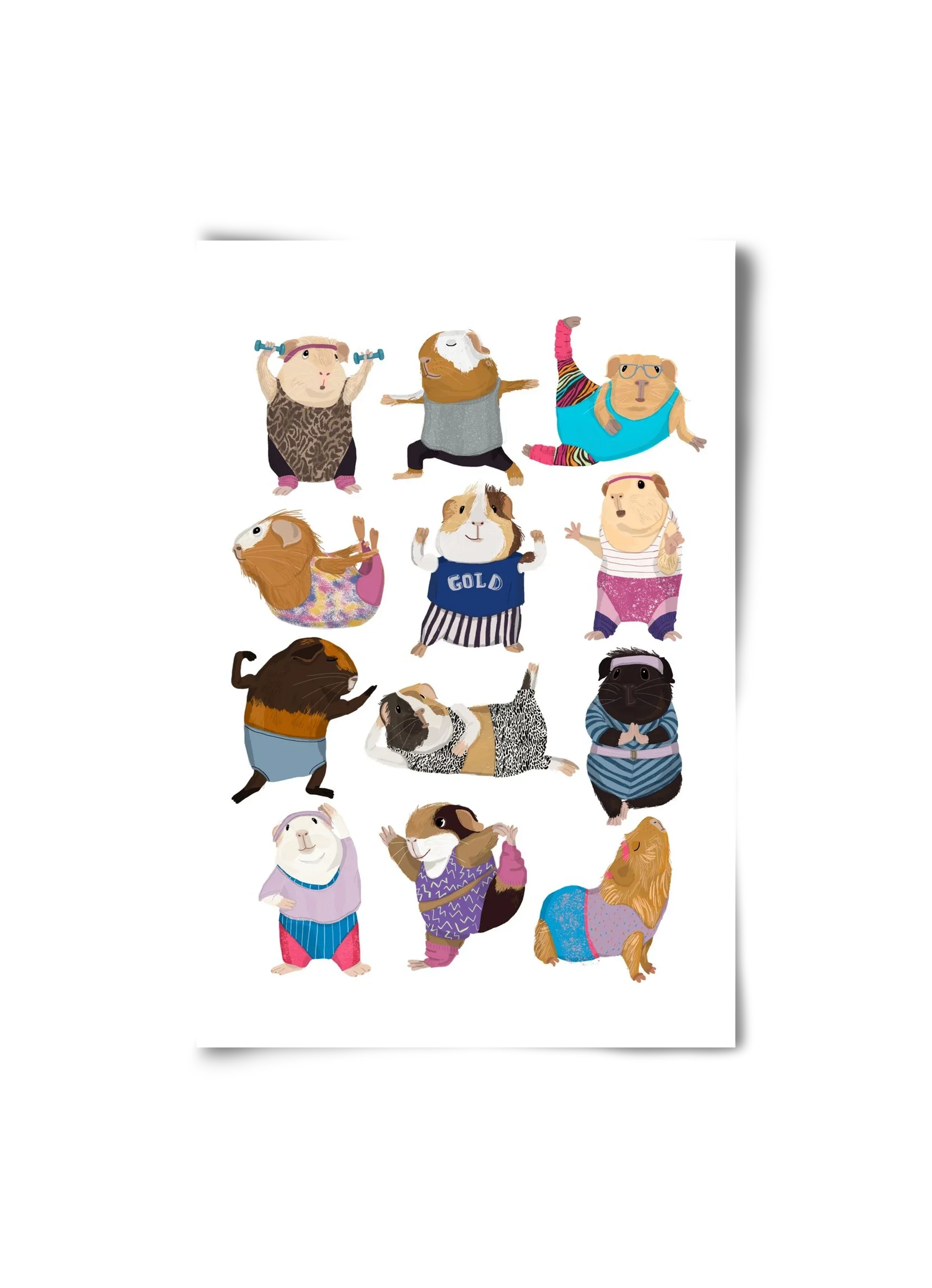 Guinea Pigs doing Aerobic - artbridge