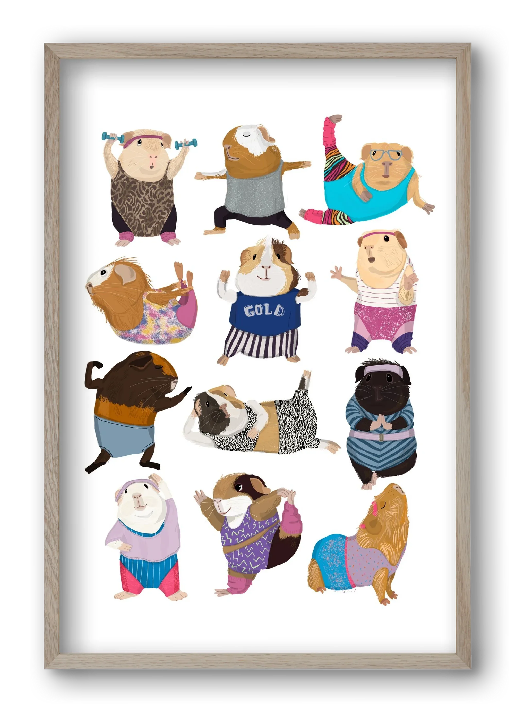 Guinea Pigs doing Aerobic - artbridge