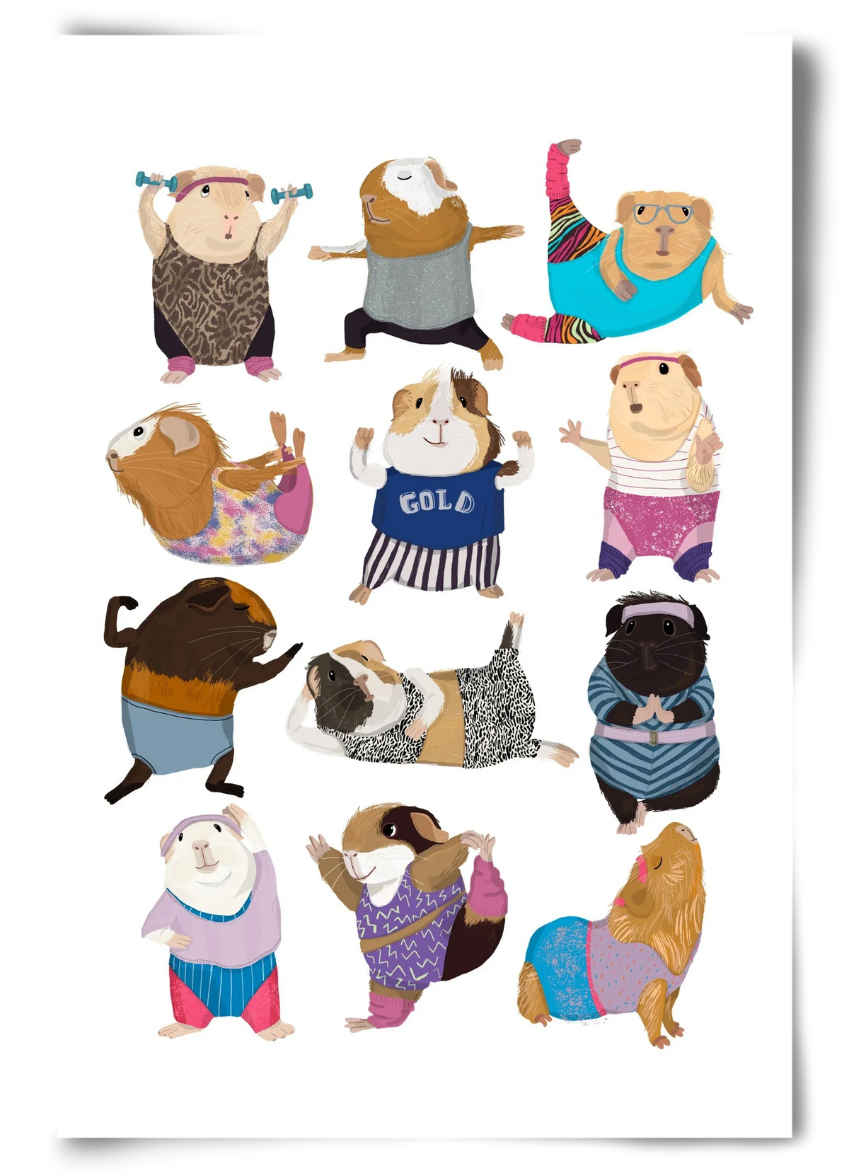 Guinea Pigs doing Aerobic - artbridge