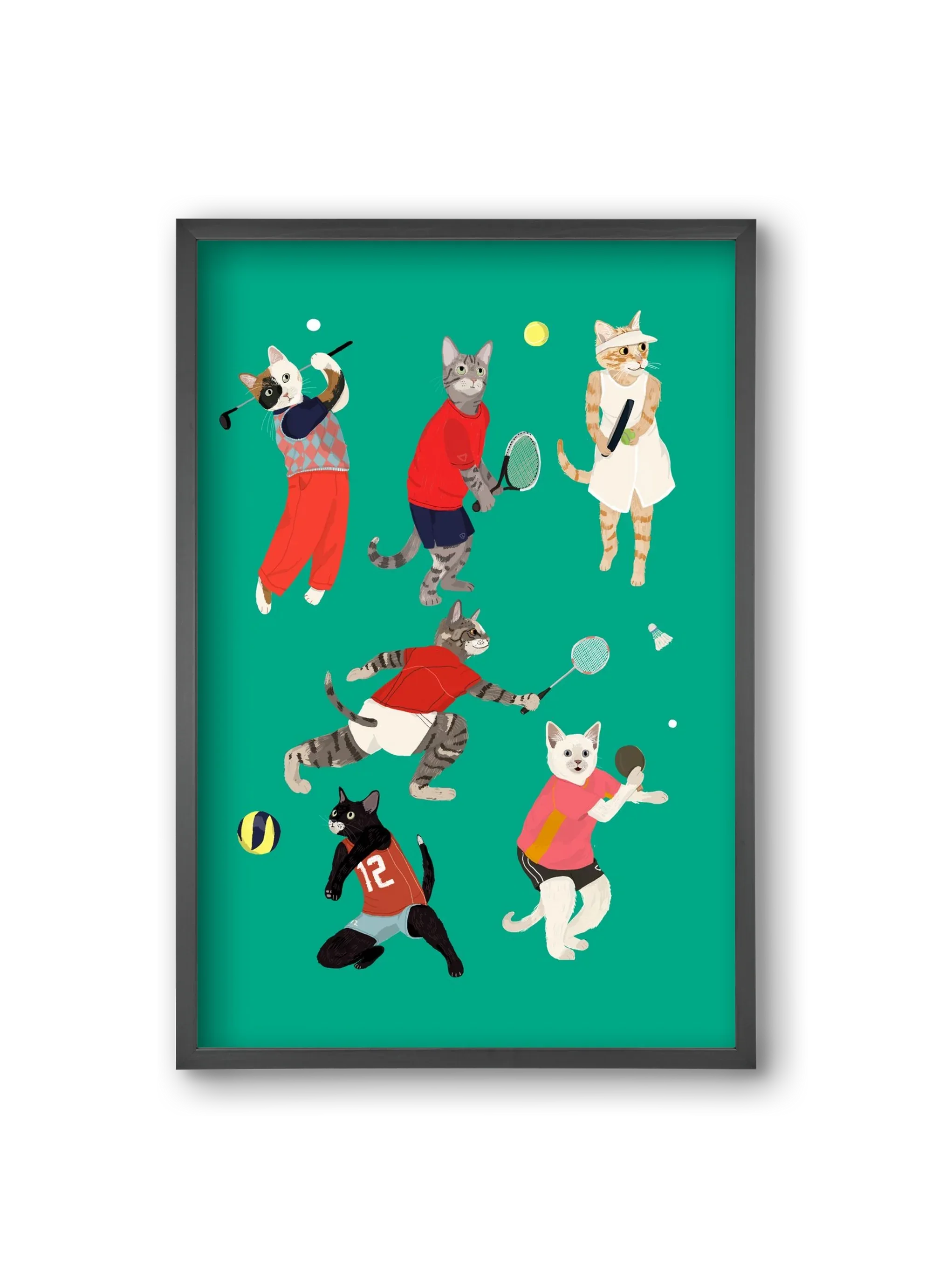 Cats doing ballsport - artbridge