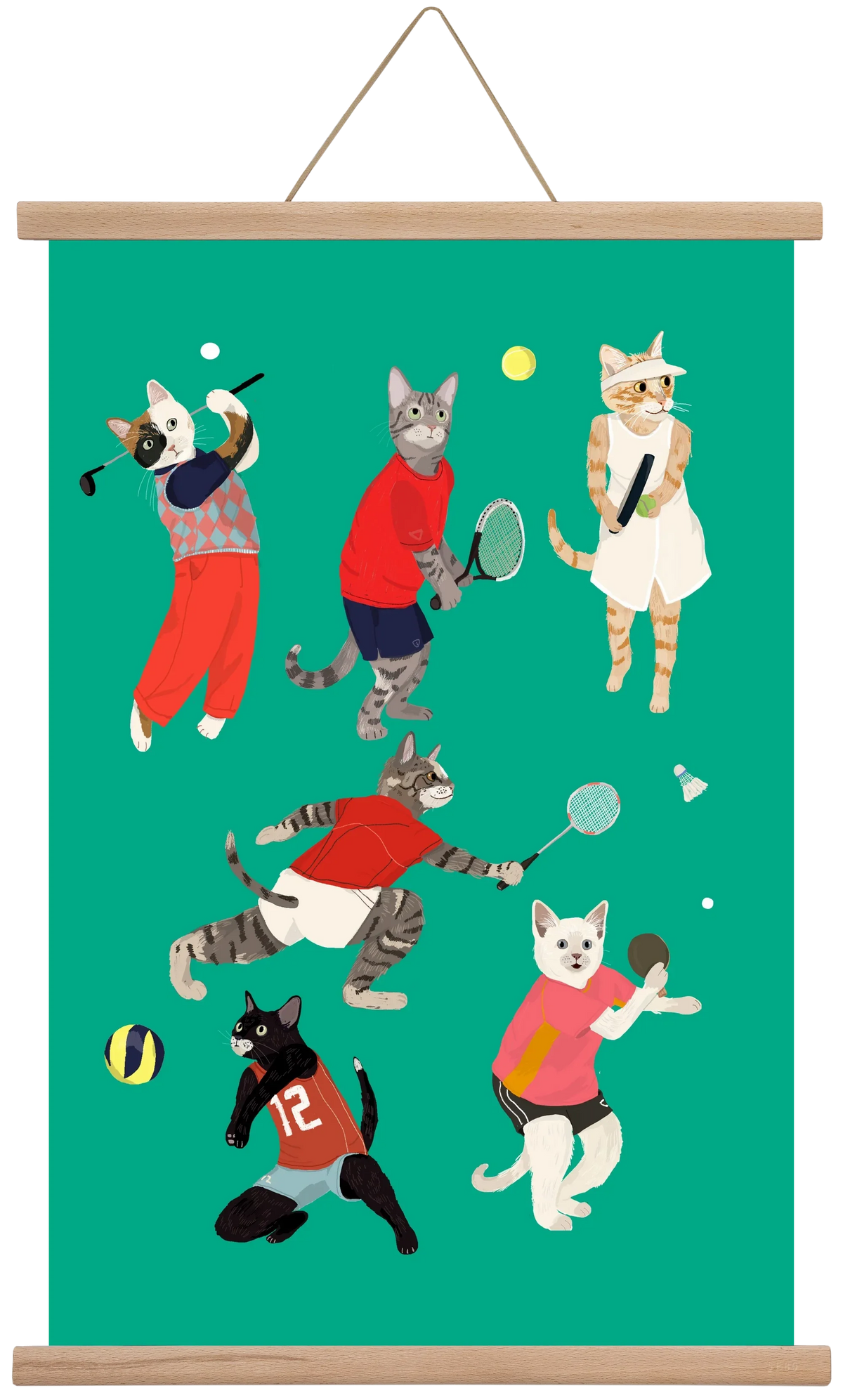 Cats doing ballsport - artbridge